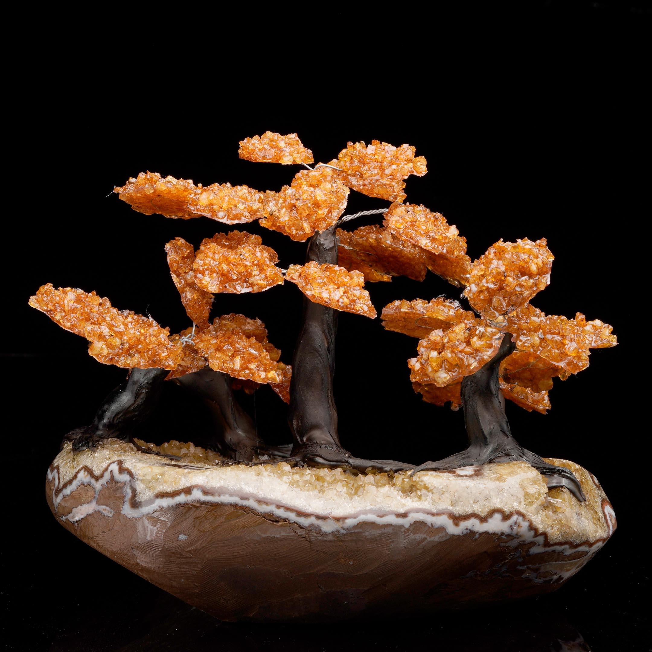 Árbol grande de gemas de citrino sobre base de racimo de citrino en venta 1