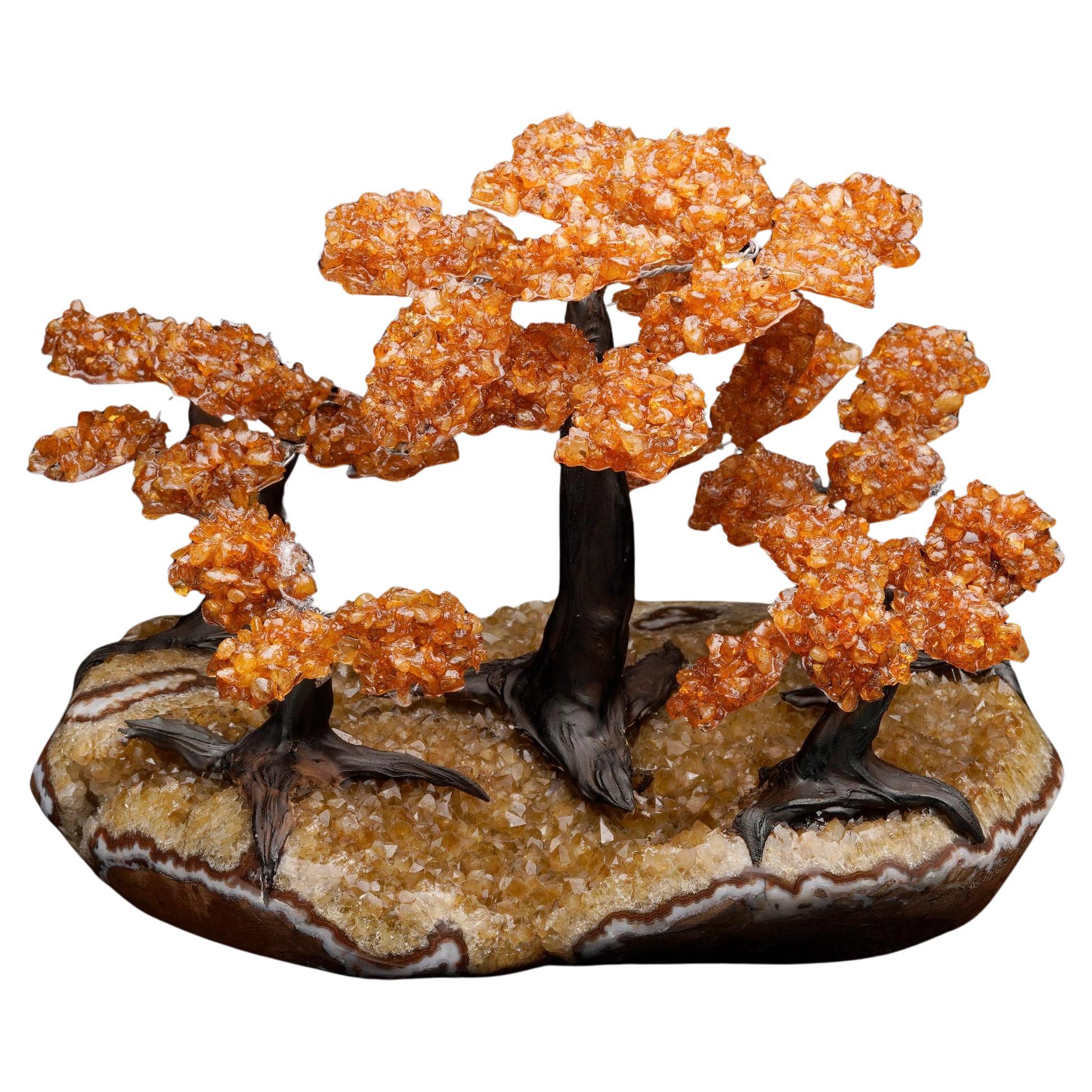 Árbol grande de gemas de citrino sobre base de racimo de citrino en venta