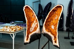 Gran Geoda de Citrino Alas de Mariposa con Druzy Naranja Profundo e Inclusión de Calcita