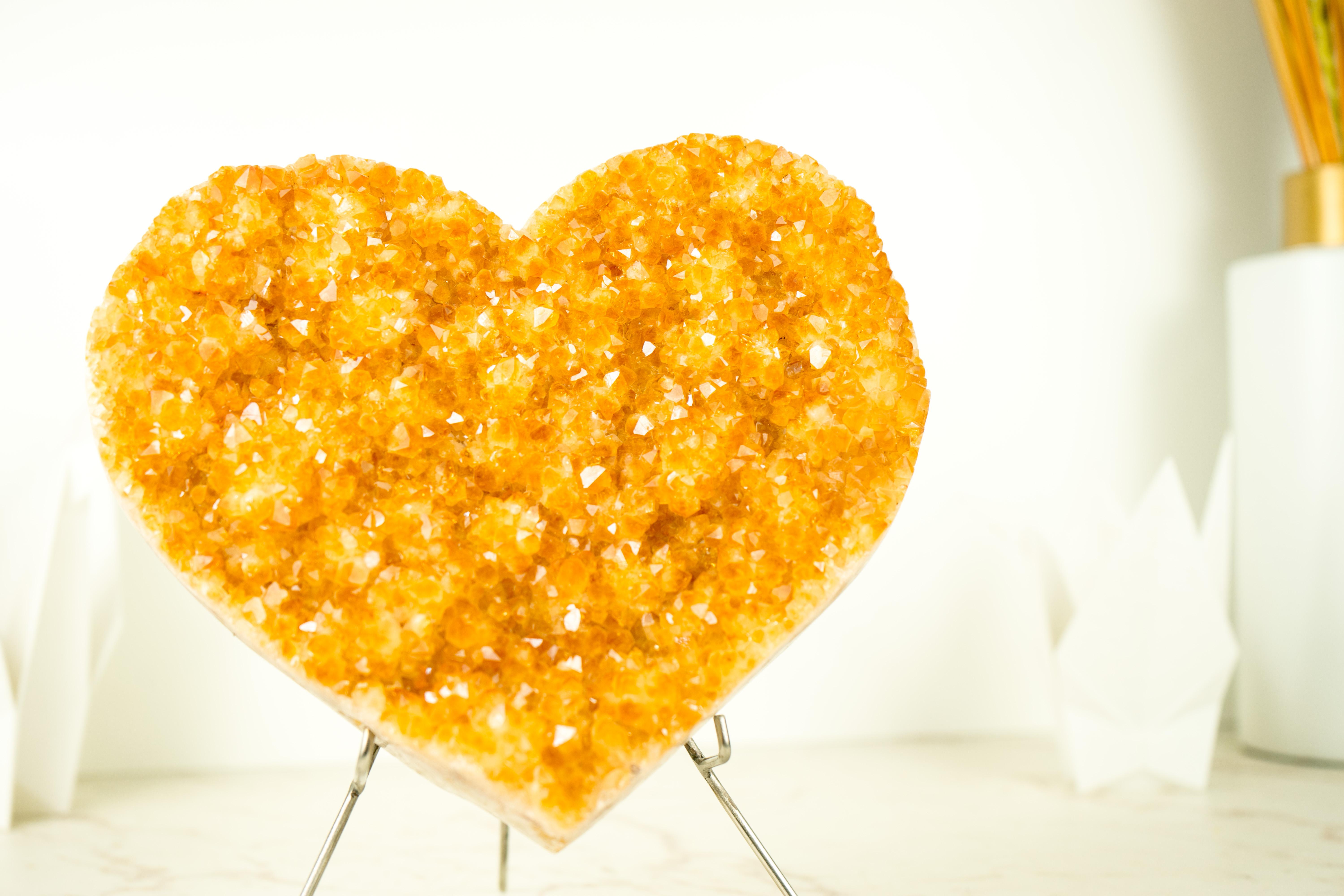 Large Citrine Heart with Shiny Golden Orange Citrine Druzy

▫️ Description

Hand-carved from a single Citrine cluster, this Golden Orange Citrine Heart showcases wonderful aesthetics with its sparkly Druzy. It is a Citrine specimen that will become
