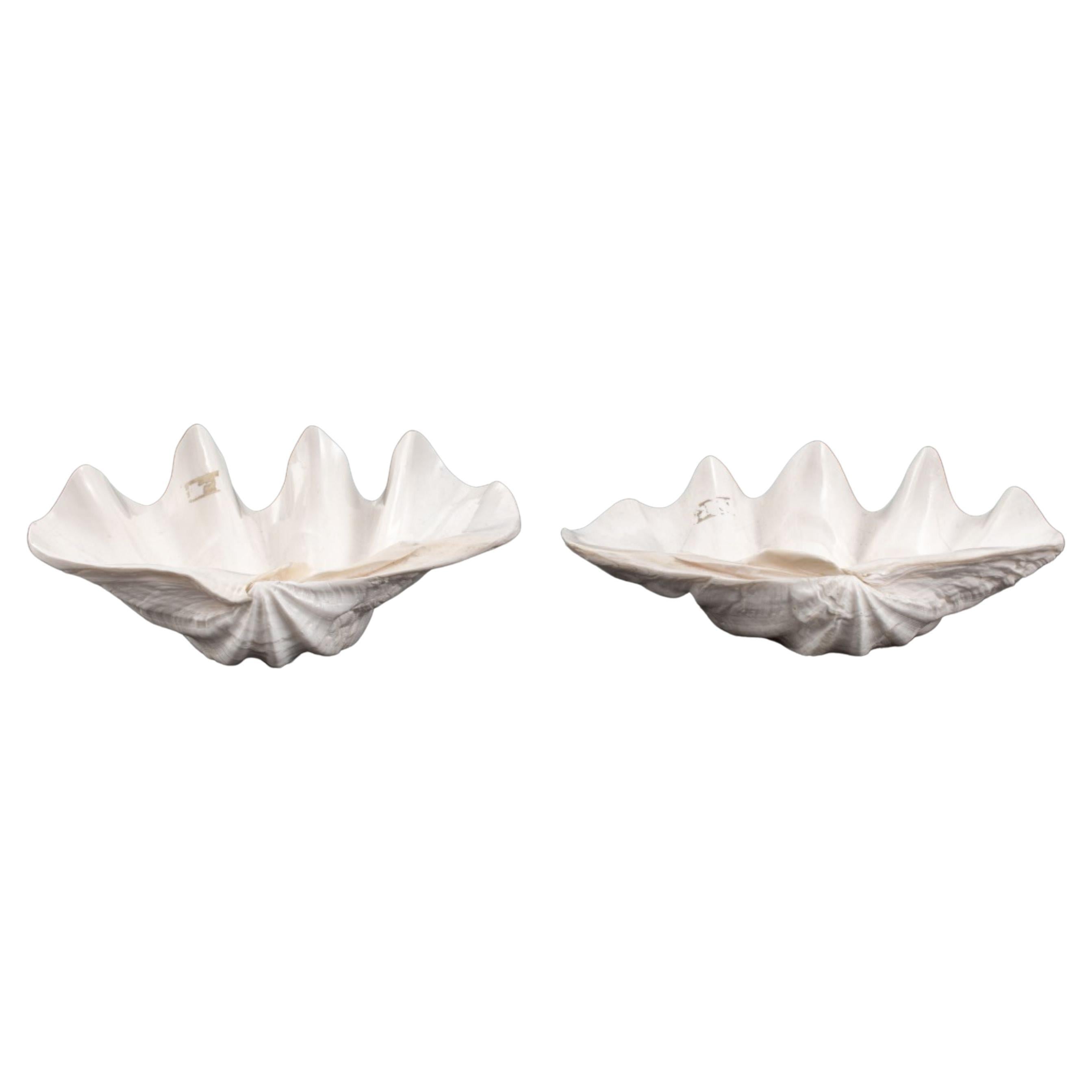 Large Clam Shell Bowls, Pair For Sale at 1stDibs