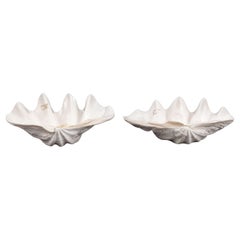 Vintage Large Clam Shell Bowls, Pair