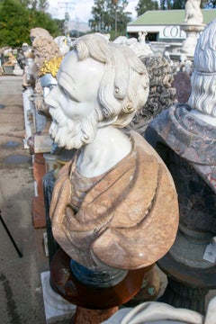 Large Classic Polychrome Marble Bust Representing Bearded Male Figure