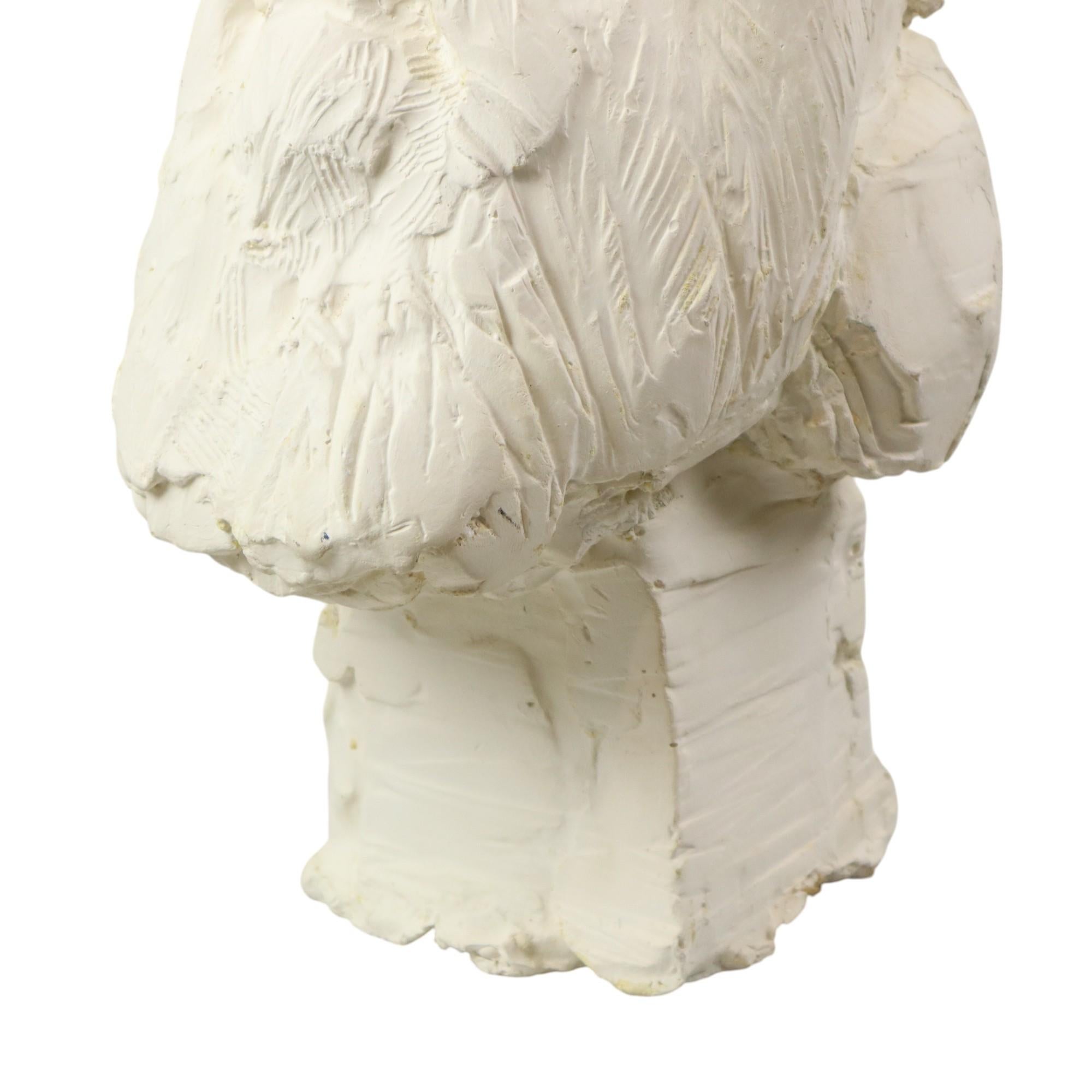 Large Classical Bust Old Man with Beard Plaster 50cm For Sale 3