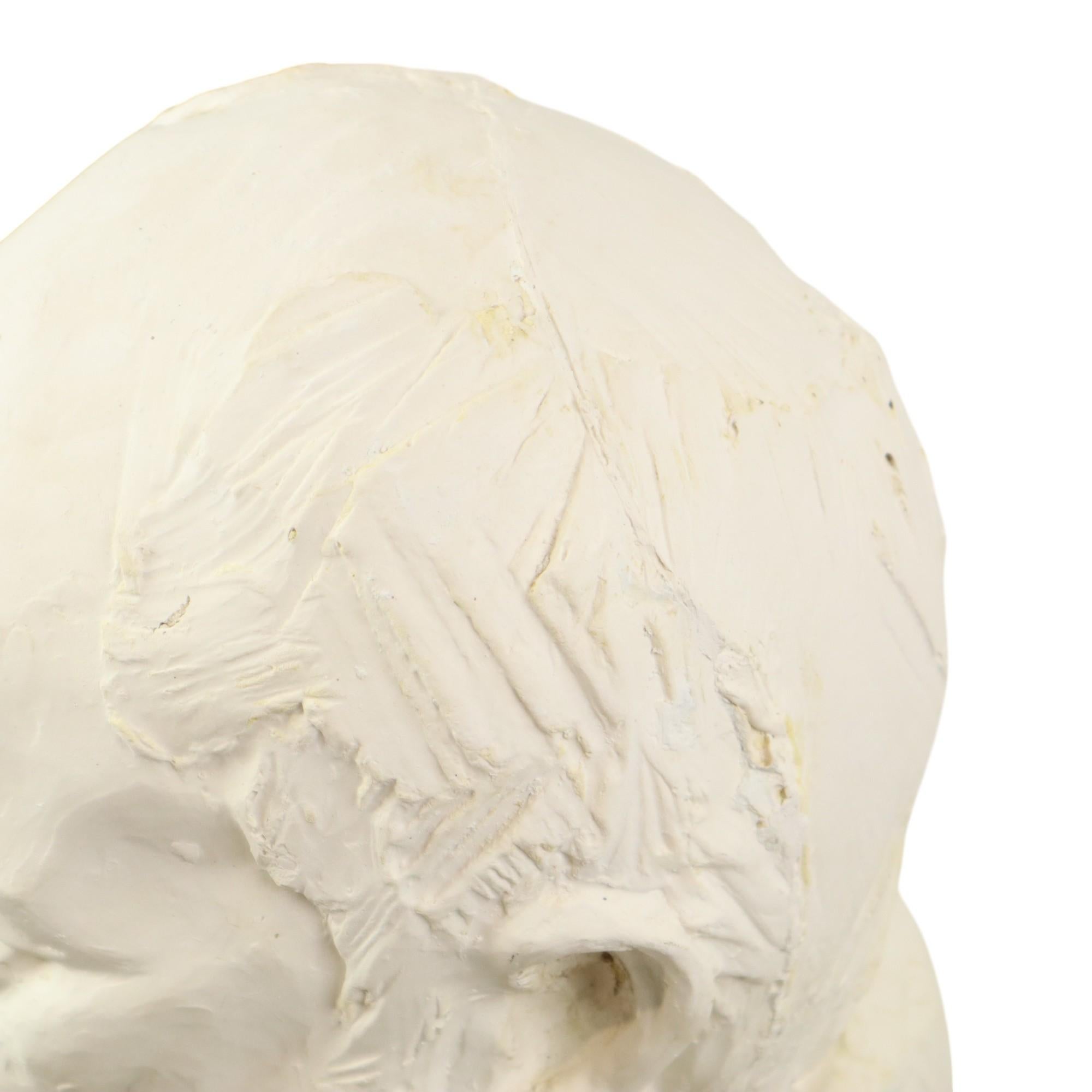 Large Classical Bust Old Man with Beard Plaster 50cm For Sale 4