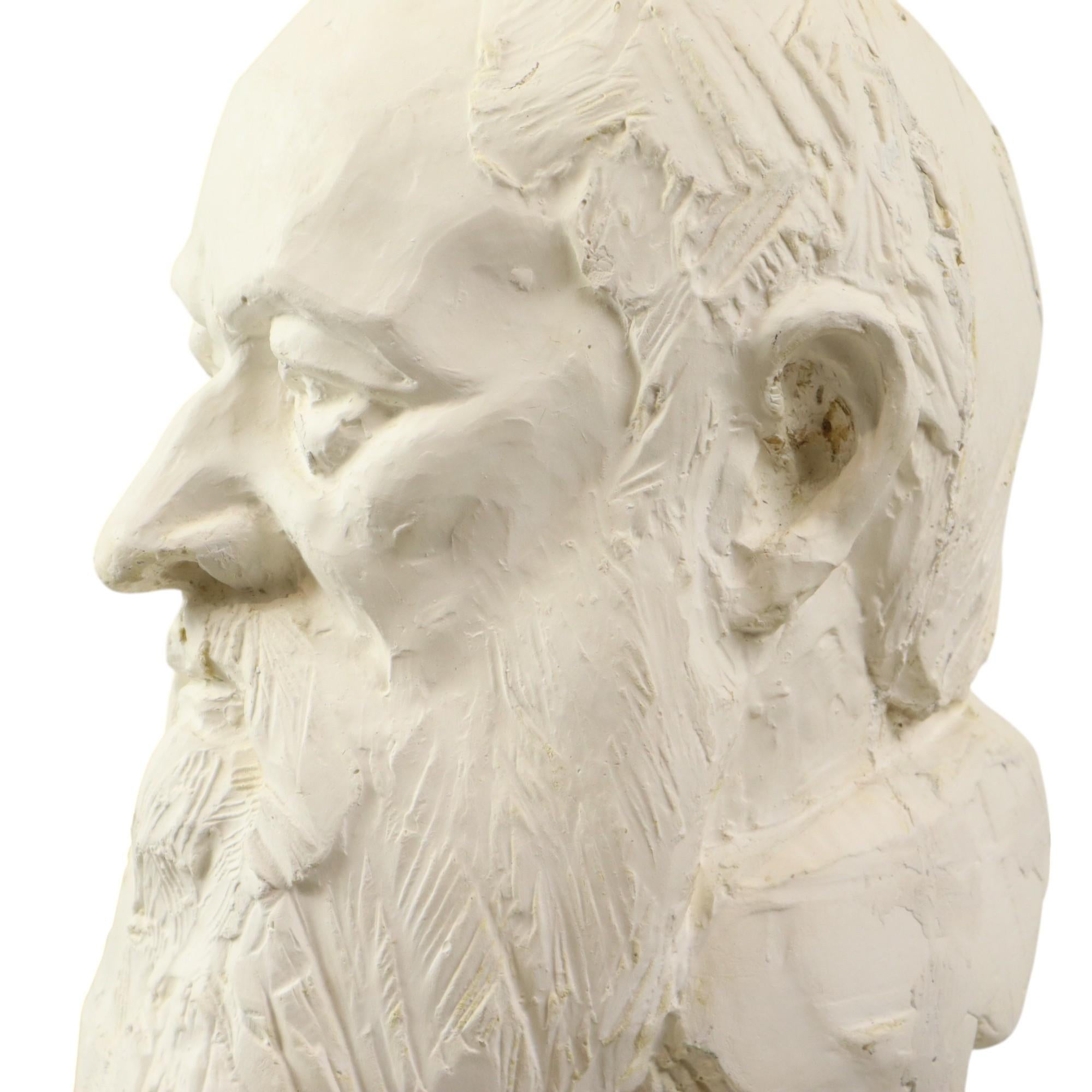 Large Classical Bust Old Man with Beard Plaster 50cm For Sale 5