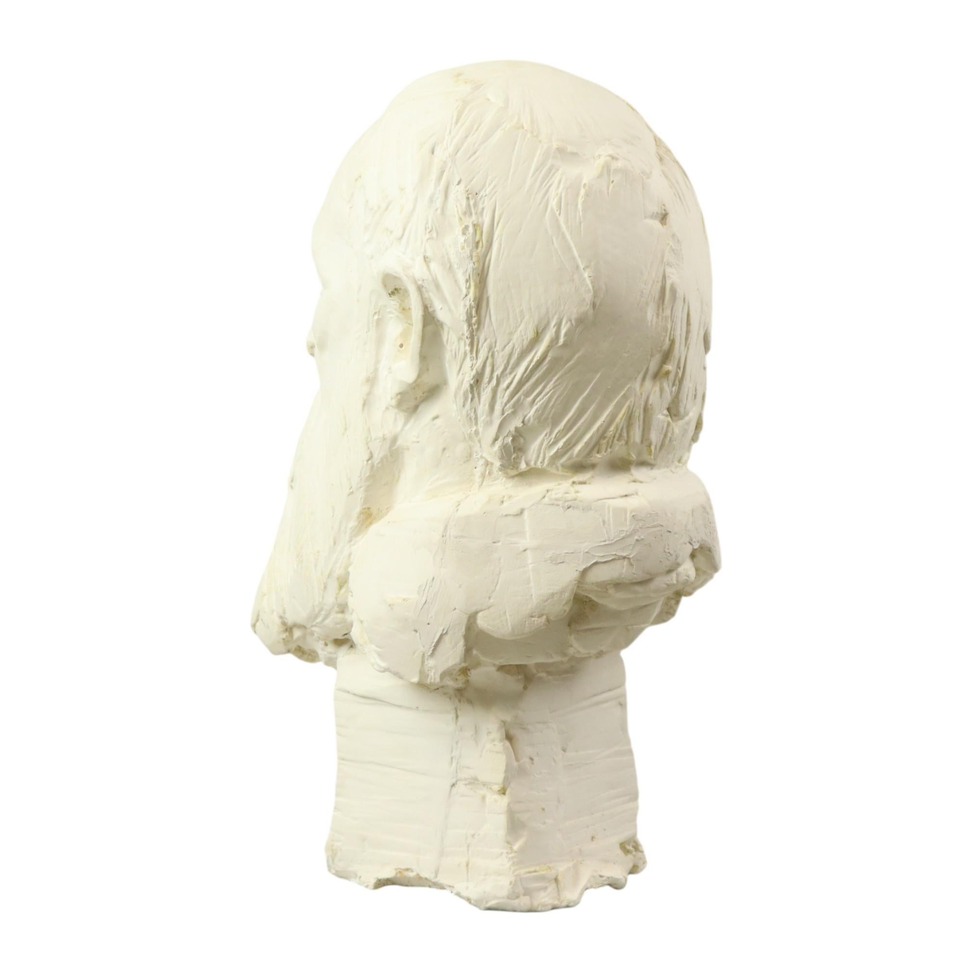 Large Classical Bust Old Man with Beard Plaster 50cm In Good Condition For Sale In Poperinge, BE