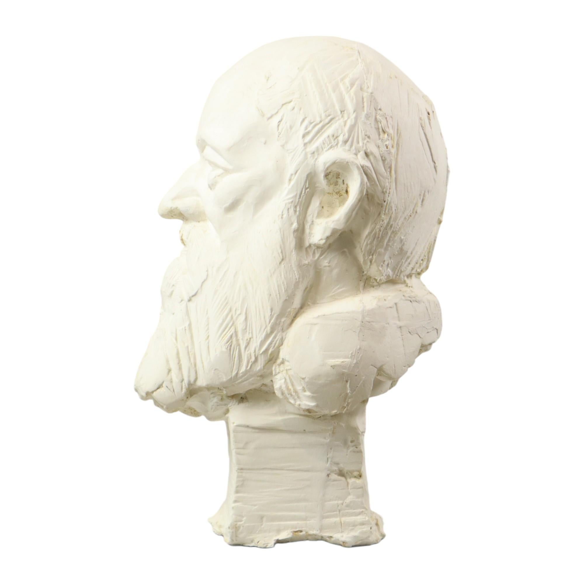 20th Century Large Classical Bust Old Man with Beard Plaster 50cm For Sale