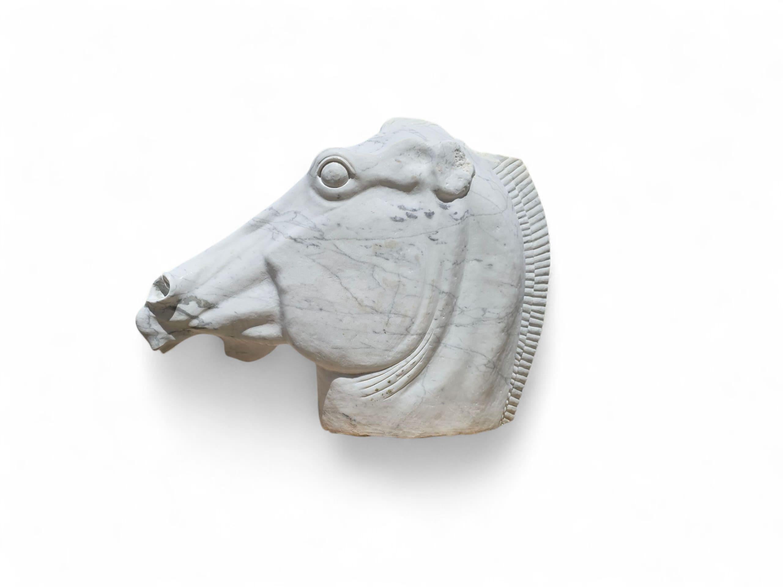 Grande scultura di testa di cavallo in stile greco classico in marmo di Carrara in vendita 1