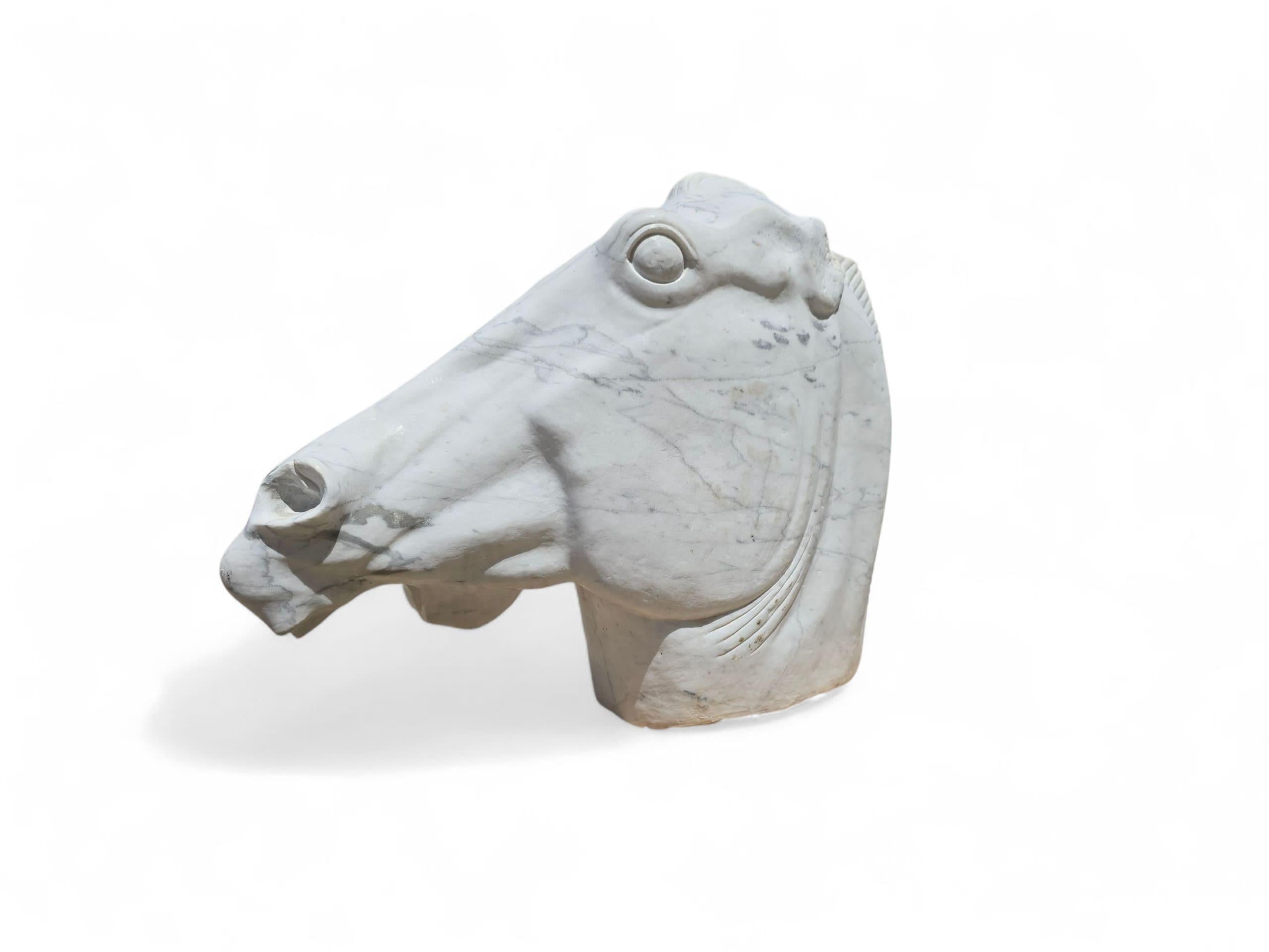 Grande scultura di testa di cavallo in stile greco classico in marmo di Carrara in vendita 2
