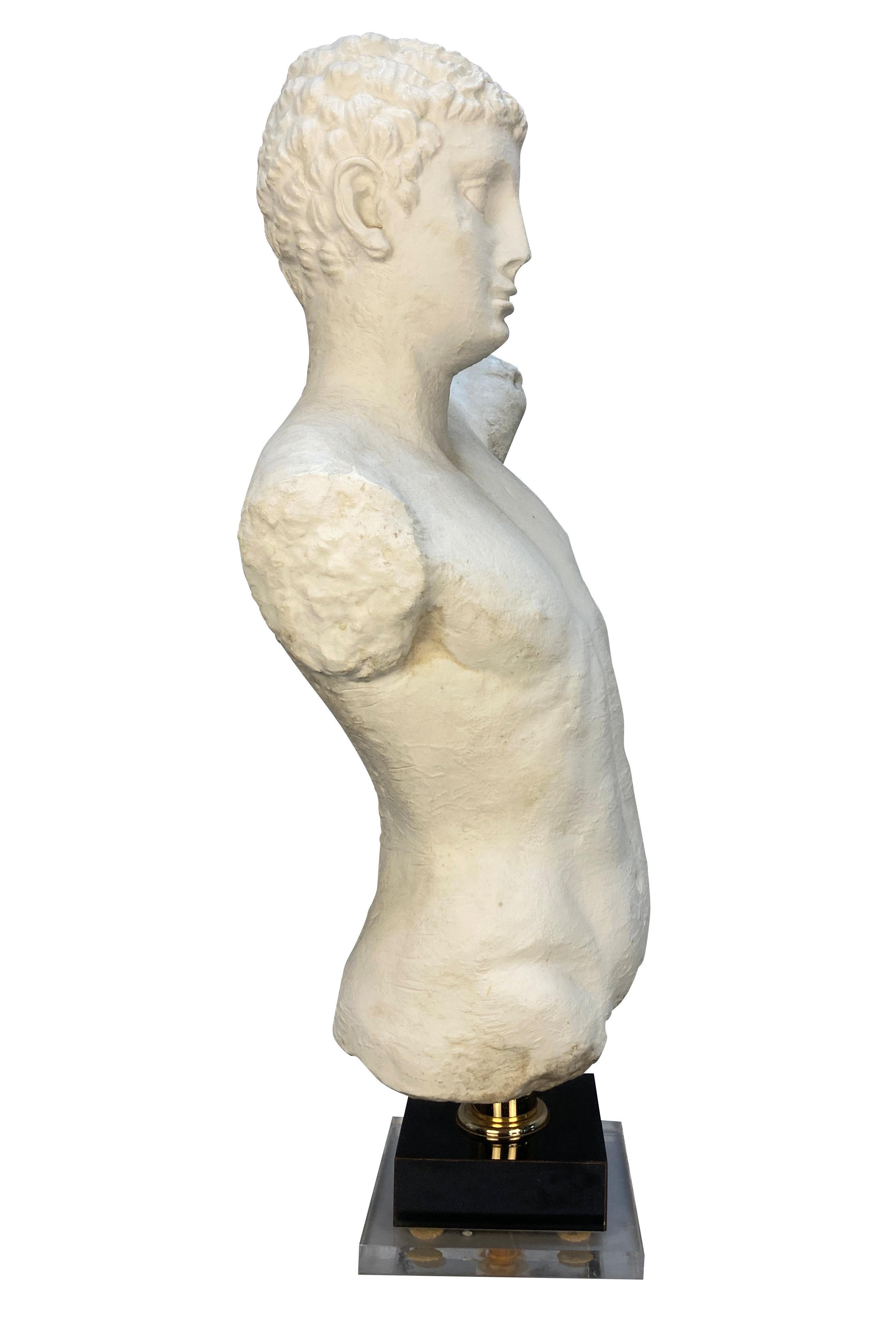 Mid-Century moderno Grande testa classica e busto di un giovane uomo in vendita