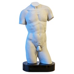 Large Classical Style Grey Painted Plaster Nude Male Torso on Black Base