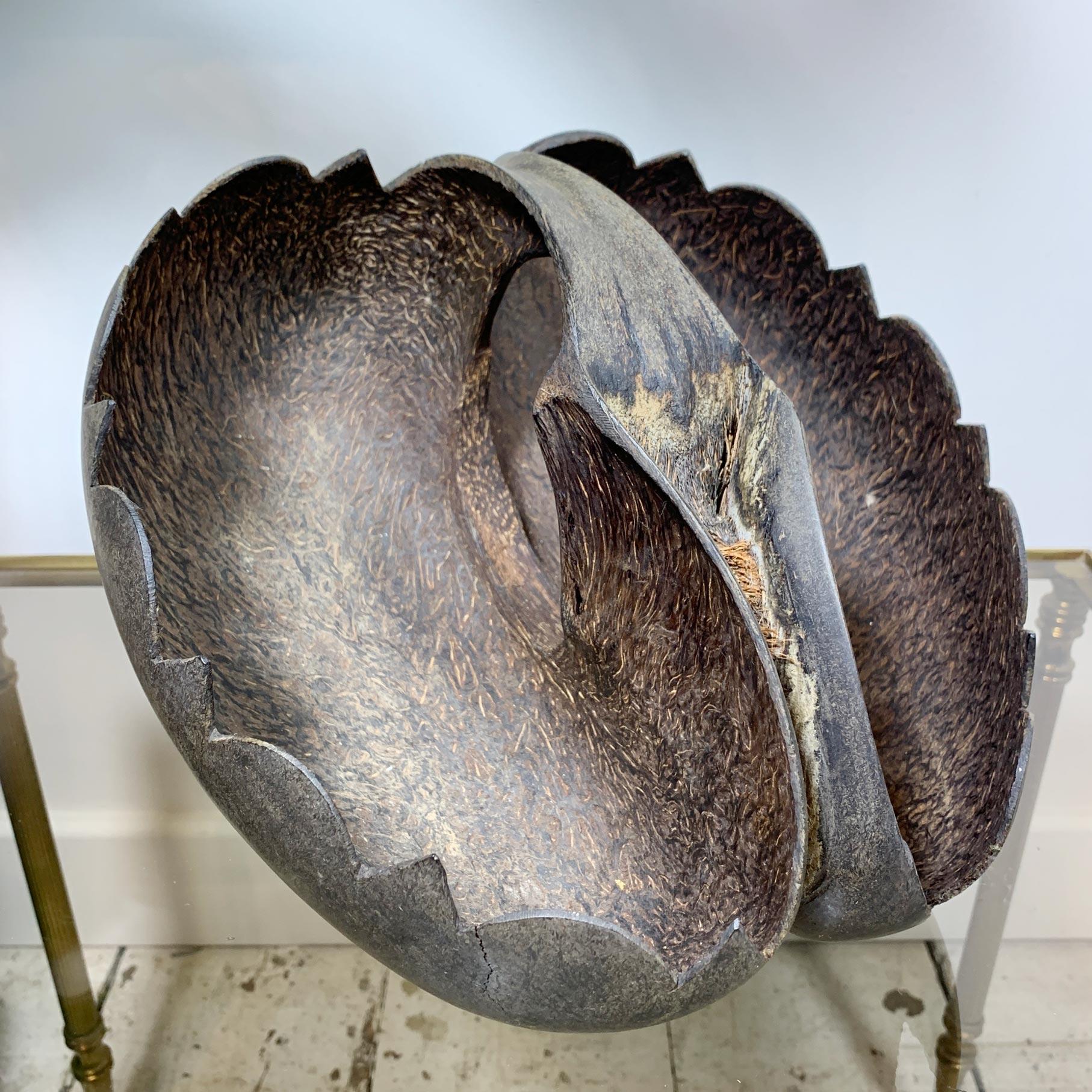 Fabulous bowl hand crafted from the rare Coco De Mer, a double lobe nut which is found exclusively in the Seychelle Islands, the flowers are borne in enormous fleshy spadices (spikes), the male and female on distinct plants. Coco de mer fruits,