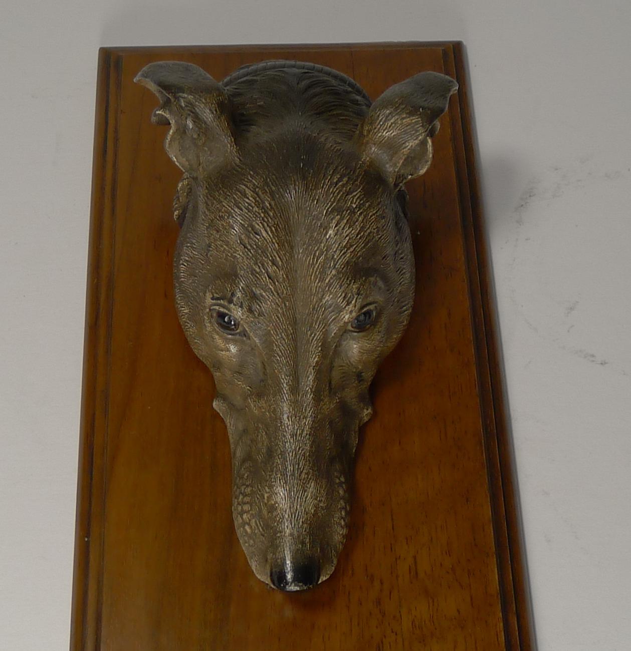 A fabulous and very grand desk-top letter clip featuring a handsome cold-painted bronze greyhound's head, beautifully executed. 

The sprung clip sits on the original mahogany base.

Late Victorian in era dating to circa 1890-1900. Measures: 10