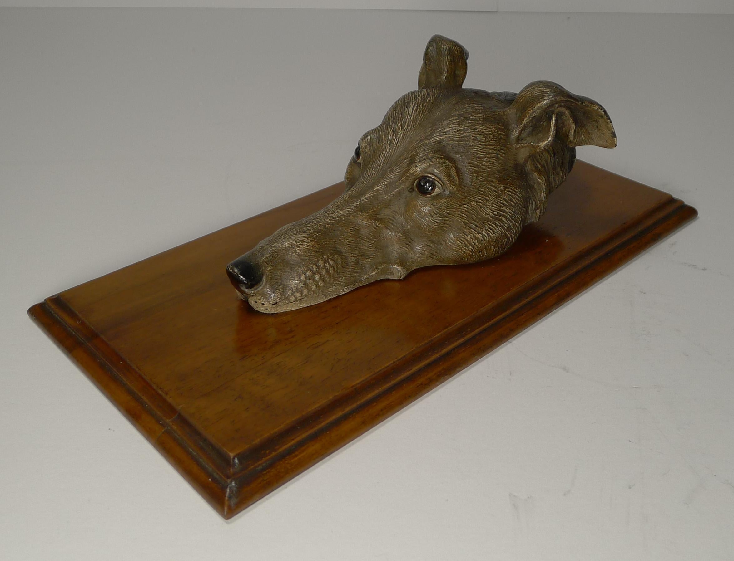 Autrichien Grande lettre / pince de bureau en bronze peint à froid, chien / lévrier, datant d'environ 1890