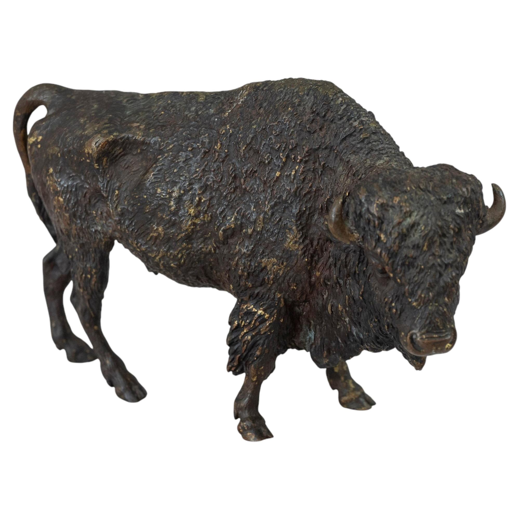 Grande bisonte in Vienna Bronze dipinto a freddo, attribuito a Carl Kauba, 1900 circa in vendita