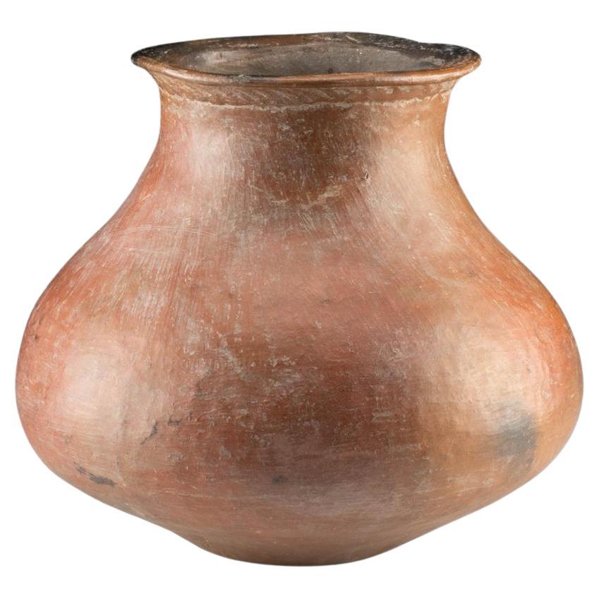 Polished Jarrones y vasijas