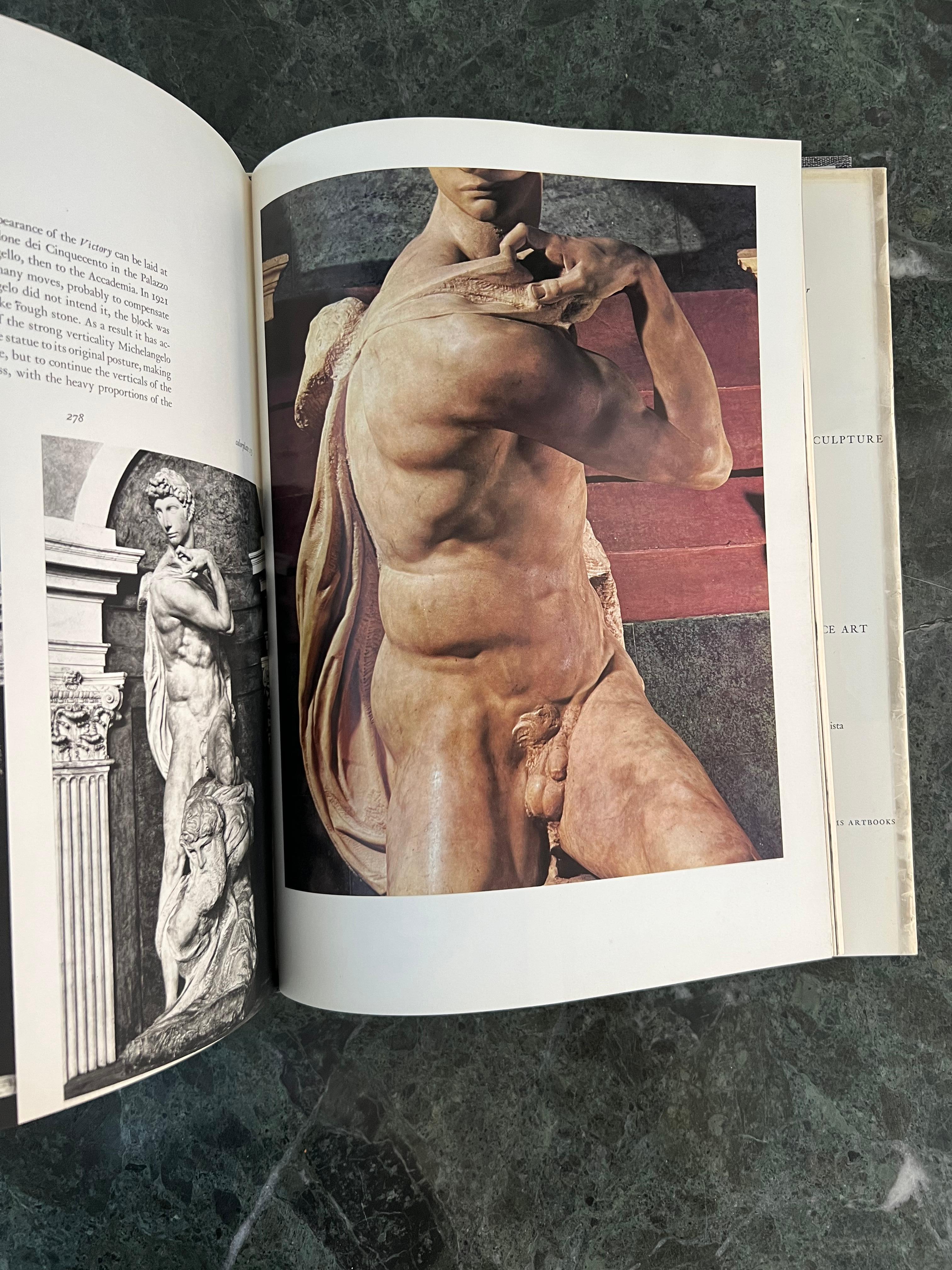Grand livre d'art de collection Michel-Ange : La sculpture complète, 1982 en vente 4
