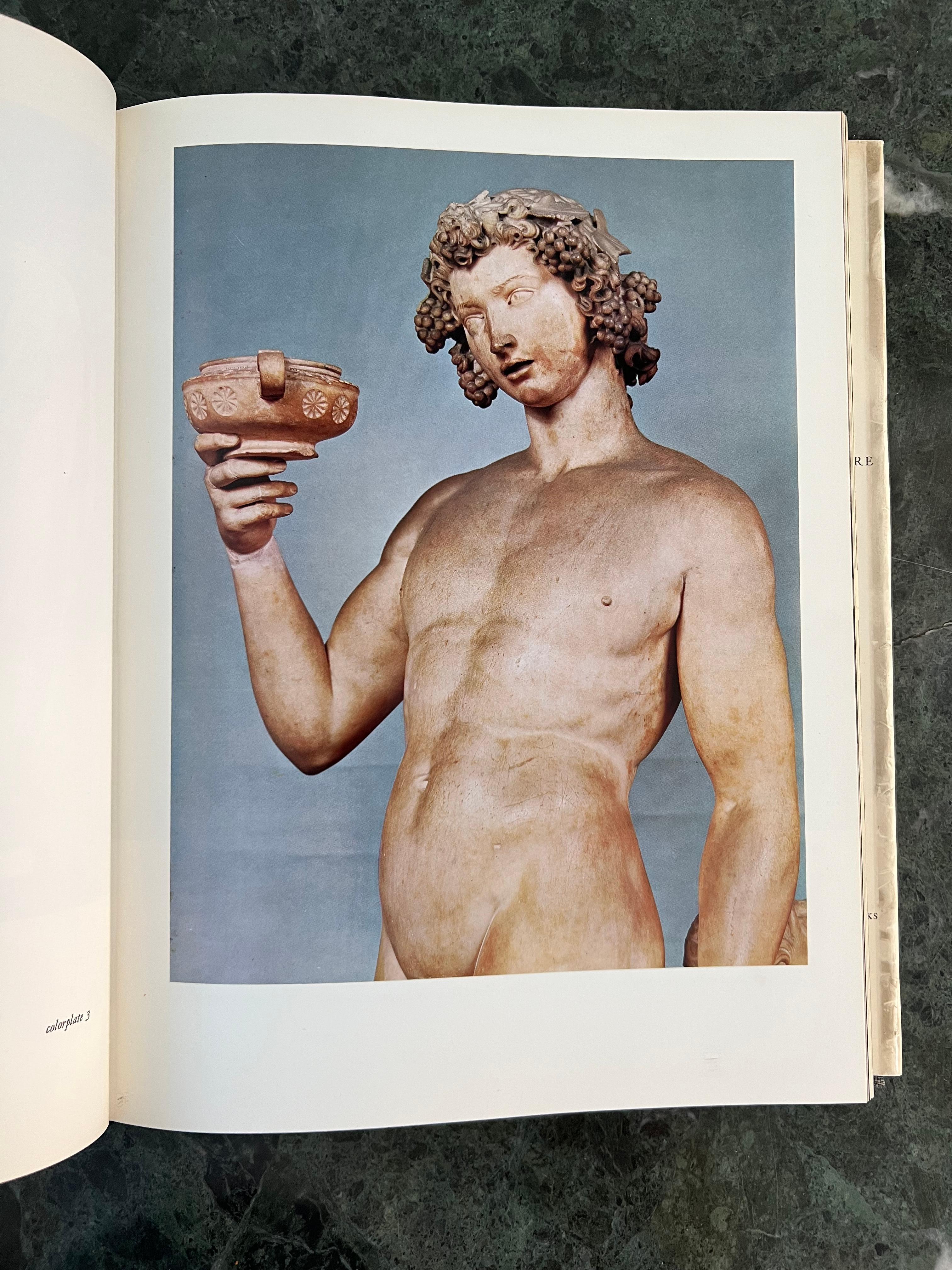 Papier Grand livre d'art de collection Michel-Ange : La sculpture complète, 1982 en vente