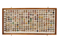 Large Collection of 571 Antique American and English Bridle Rosettes