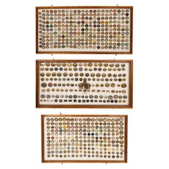 Large Collection of 571 Antique American and English Bridle Rosettes