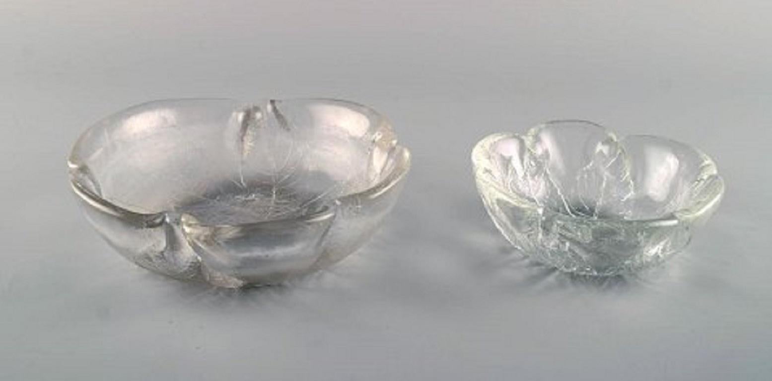 Große Sammlung von Kunstglas mit Blättern verziert, Orrefors und andere, 1980er Jahre (Ende des 20. Jahrhunderts) im Angebot