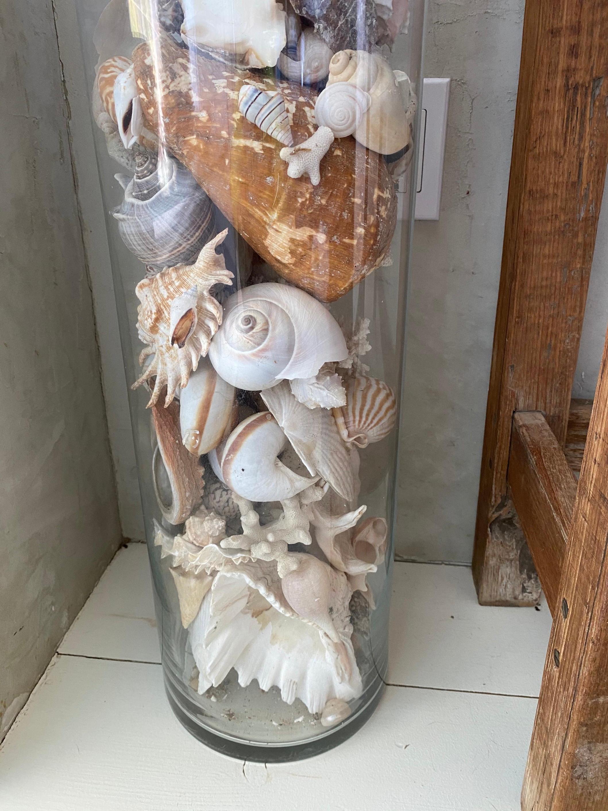 exotic shells