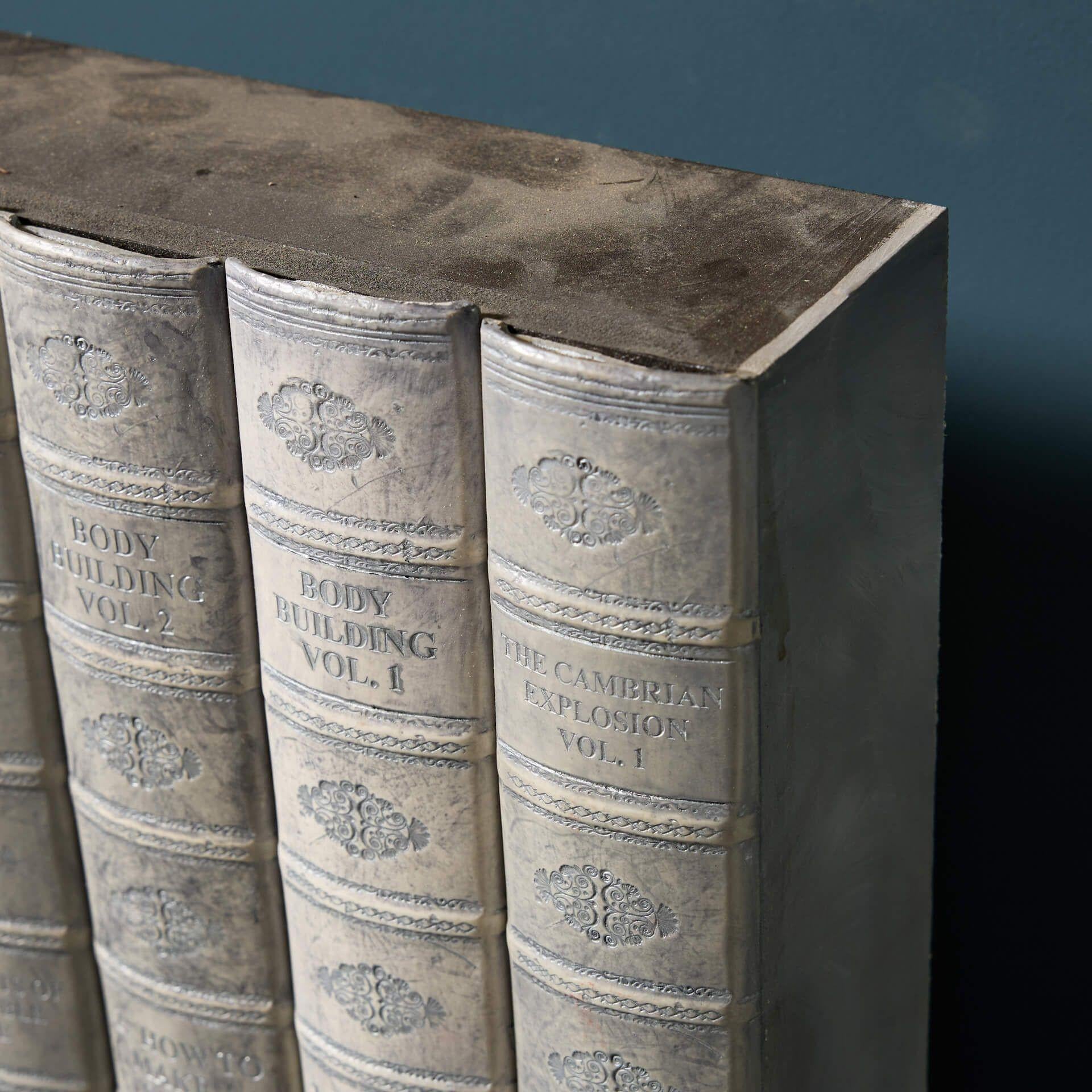 Gran colección de libros decorativos de imitación en venta 4