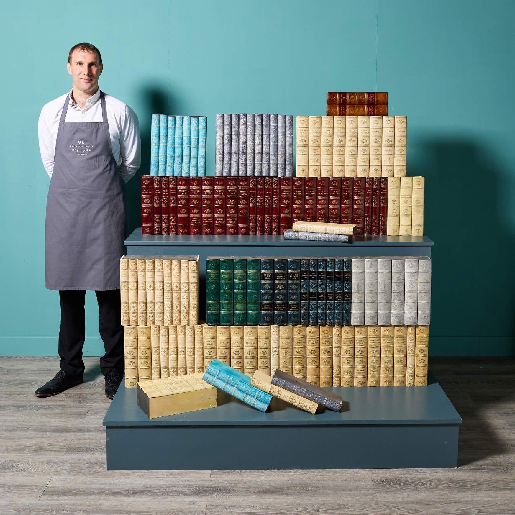 Una gran tirada de 6 m de libros decorativos de imitación de finales del siglo XX, recuperados de una exposición en un museo. Dispuestos en tiradas de varios tamaños como en la imagen, los grupos varían desde libros sueltos hasta tiradas más largas