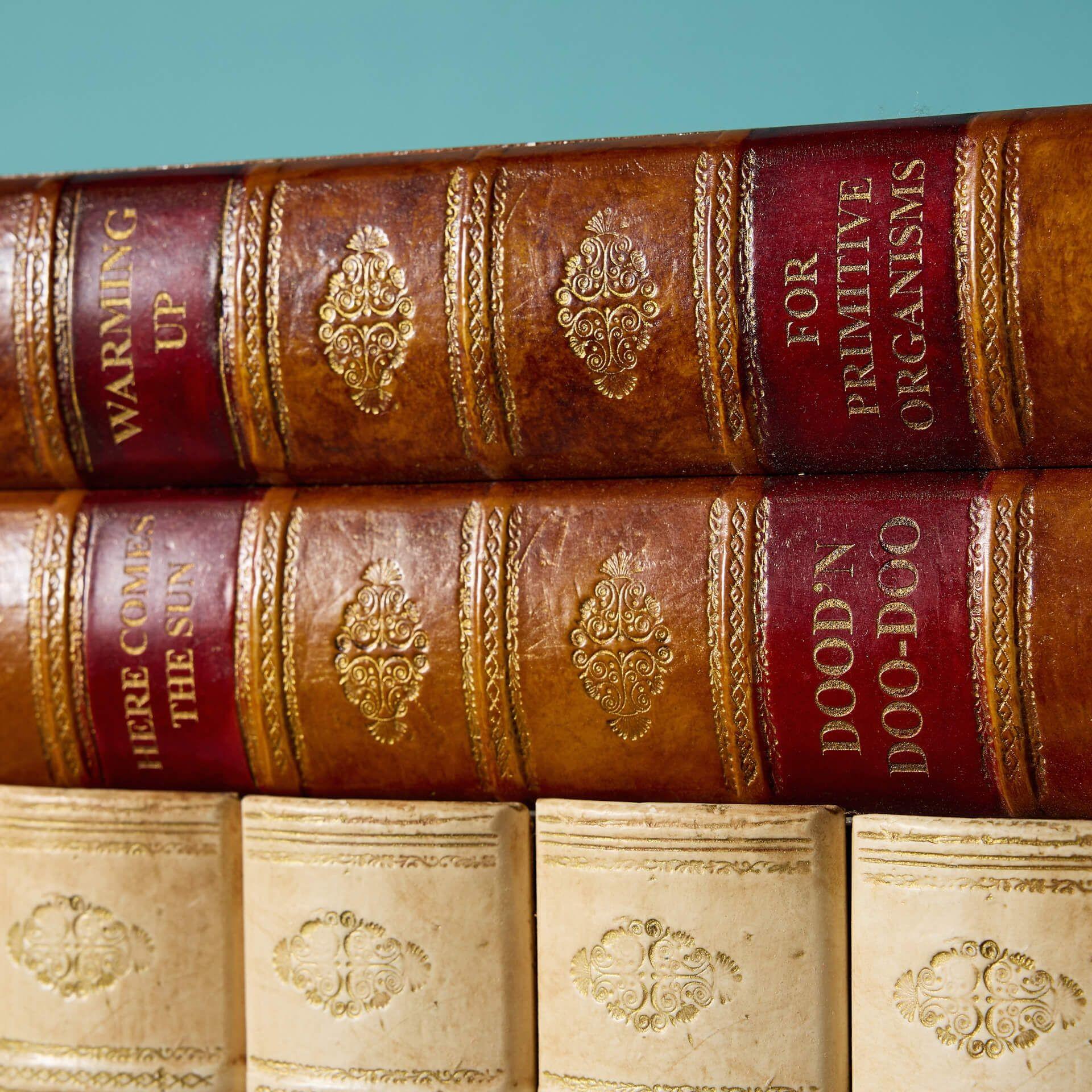 Gran colección de libros decorativos de imitación en venta 2