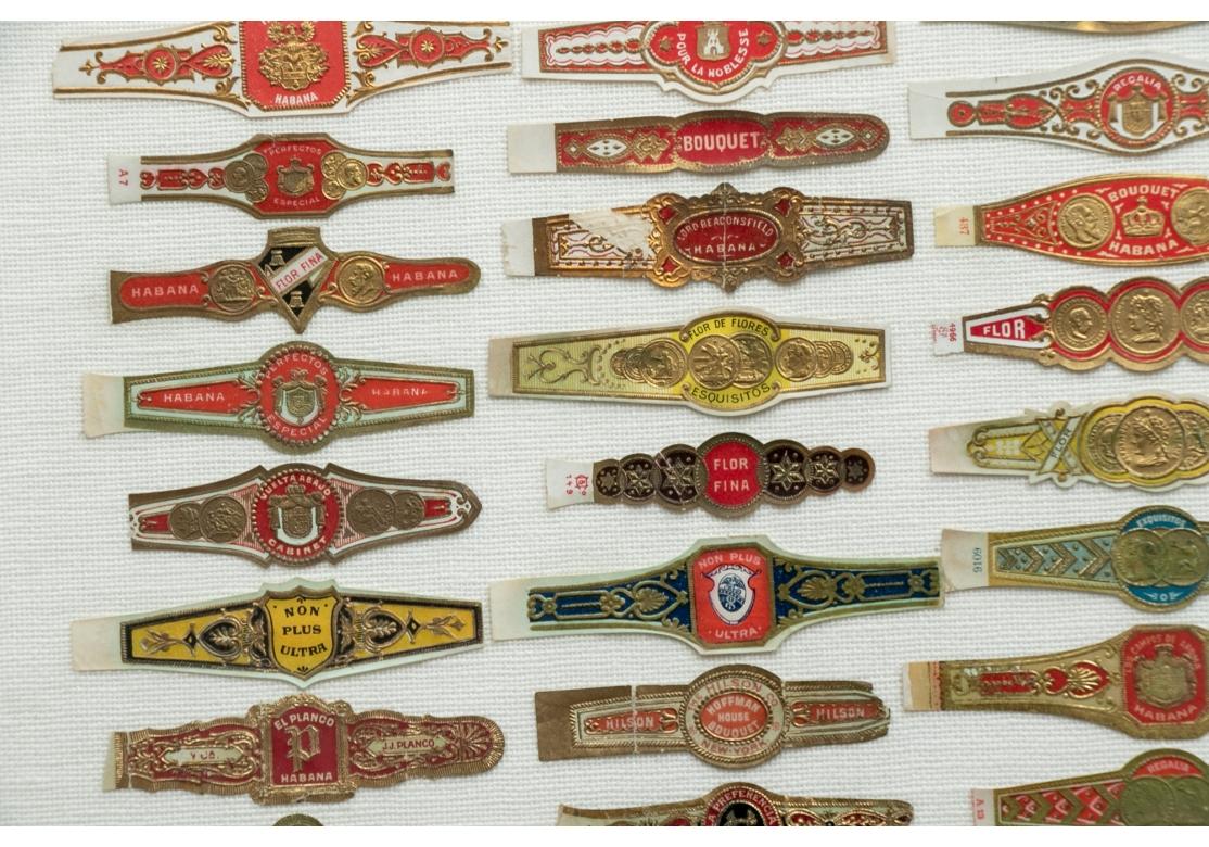 Gilt Large Collection of Framed Vintage Cigar Bands