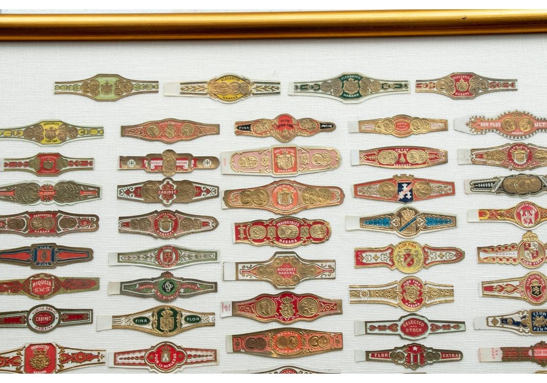 20th Century Large Collection of Framed Vintage Cigar Bands