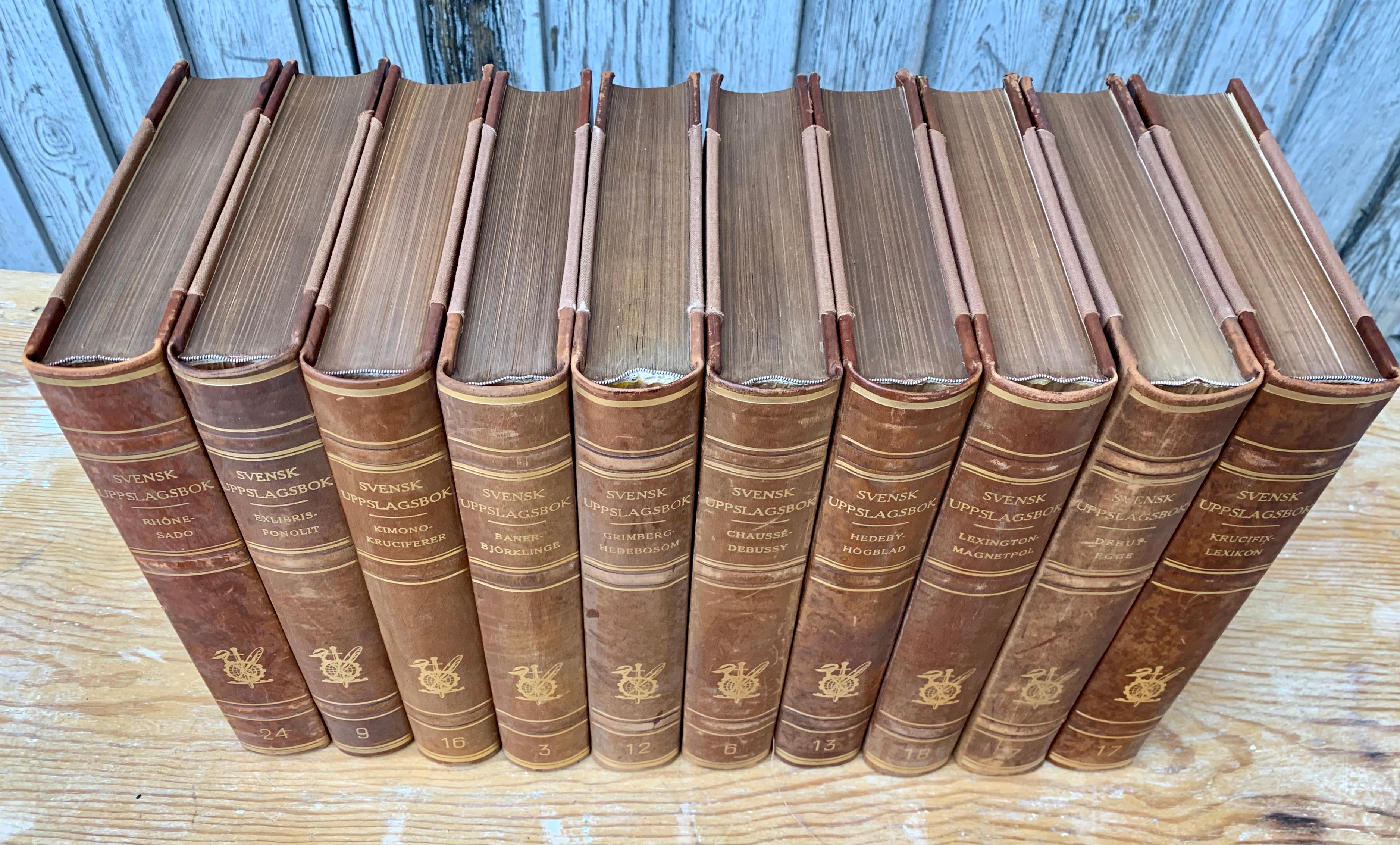 20ième siècle Grande collection de grands livres décoratifs scandinaves anciens reliés en cuir en vente