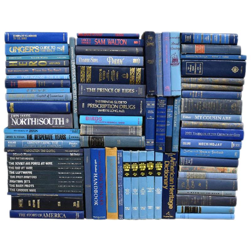 Large Collection of Vintage and Antique Blue Books, Set of 77