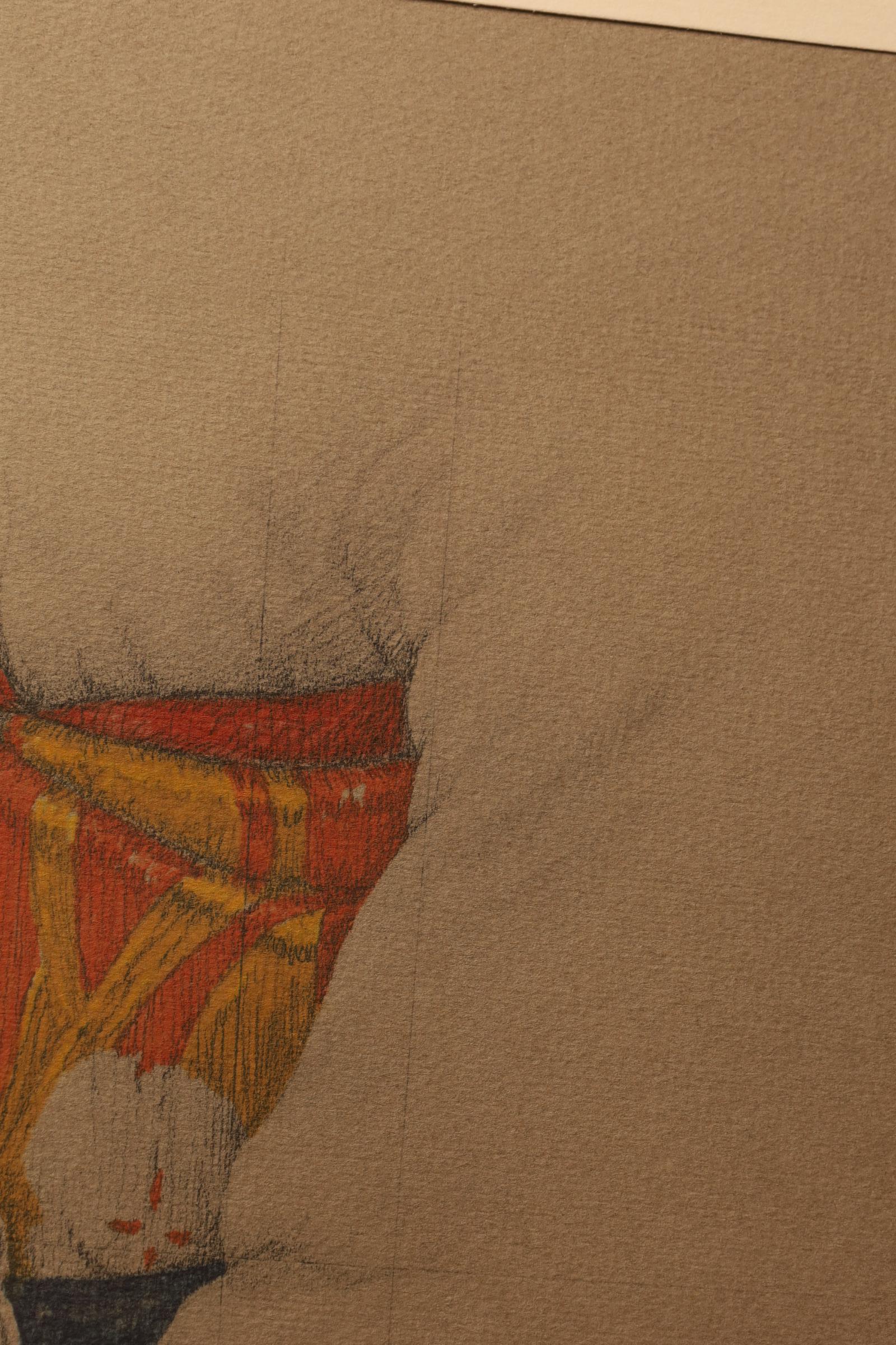 Large Collotype Print by Ryunosuke Fukui 'from 