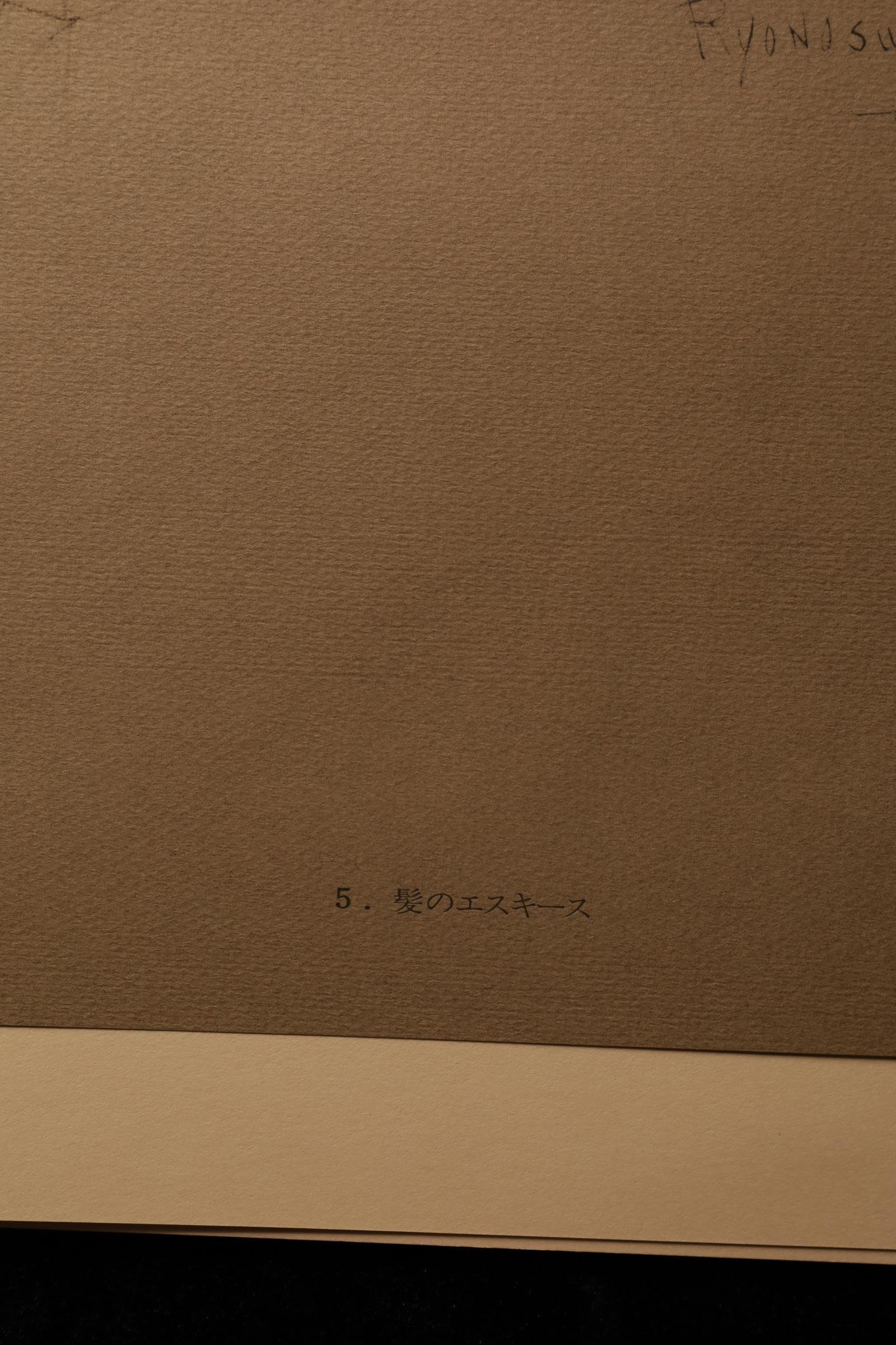 Large Collotype Print by Ryunosuke Fukui 'from 