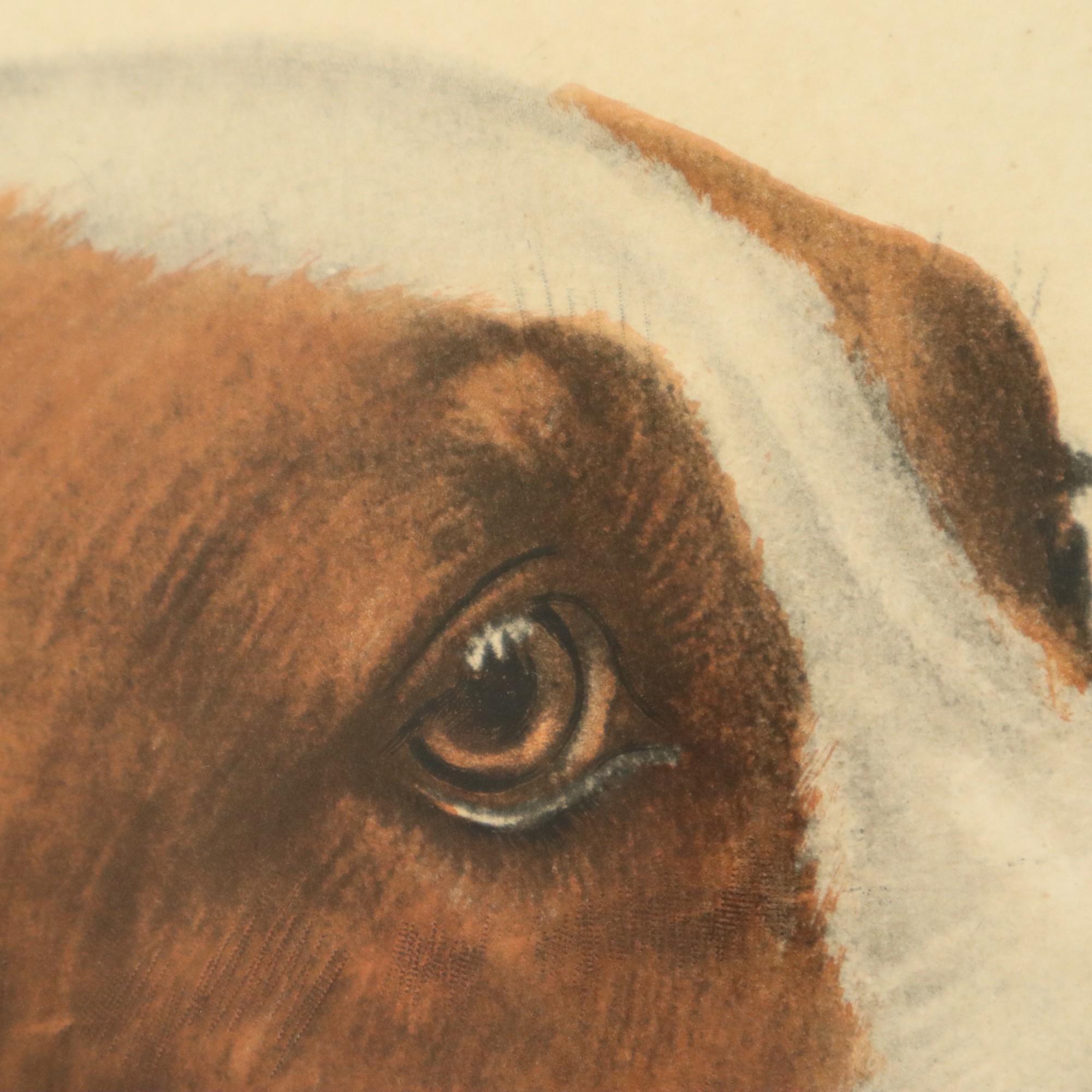 Große Farbe Litho Leon Danchin Jagdhund Spaniel 68x55cm im Angebot 4