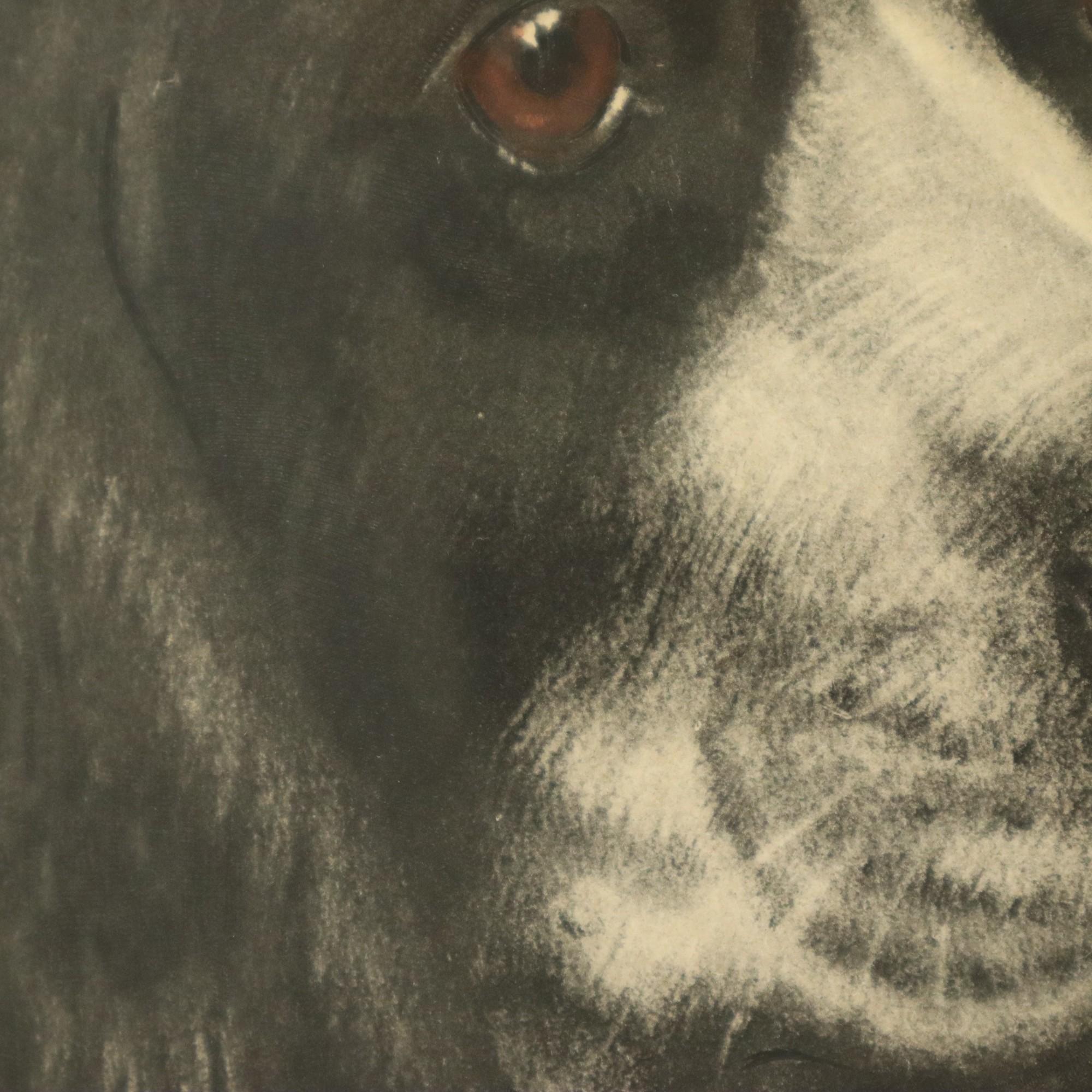 Große Farbe Litho Leon Danchin Jagdhund Spaniel 68x55cm im Angebot 5