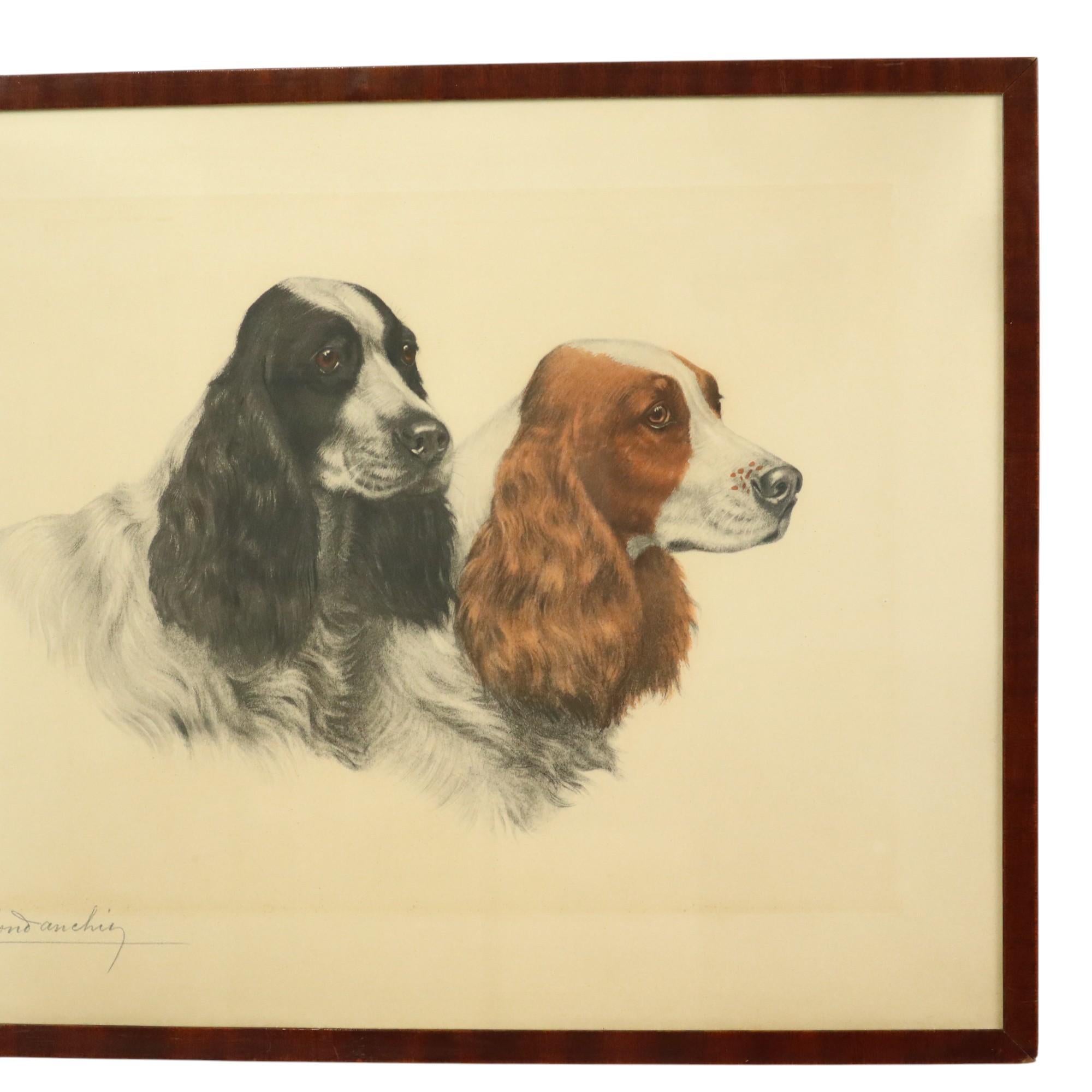 Große Farbe Litho Leon Danchin Jagdhund Spaniel 68x55cm (Französisch) im Angebot