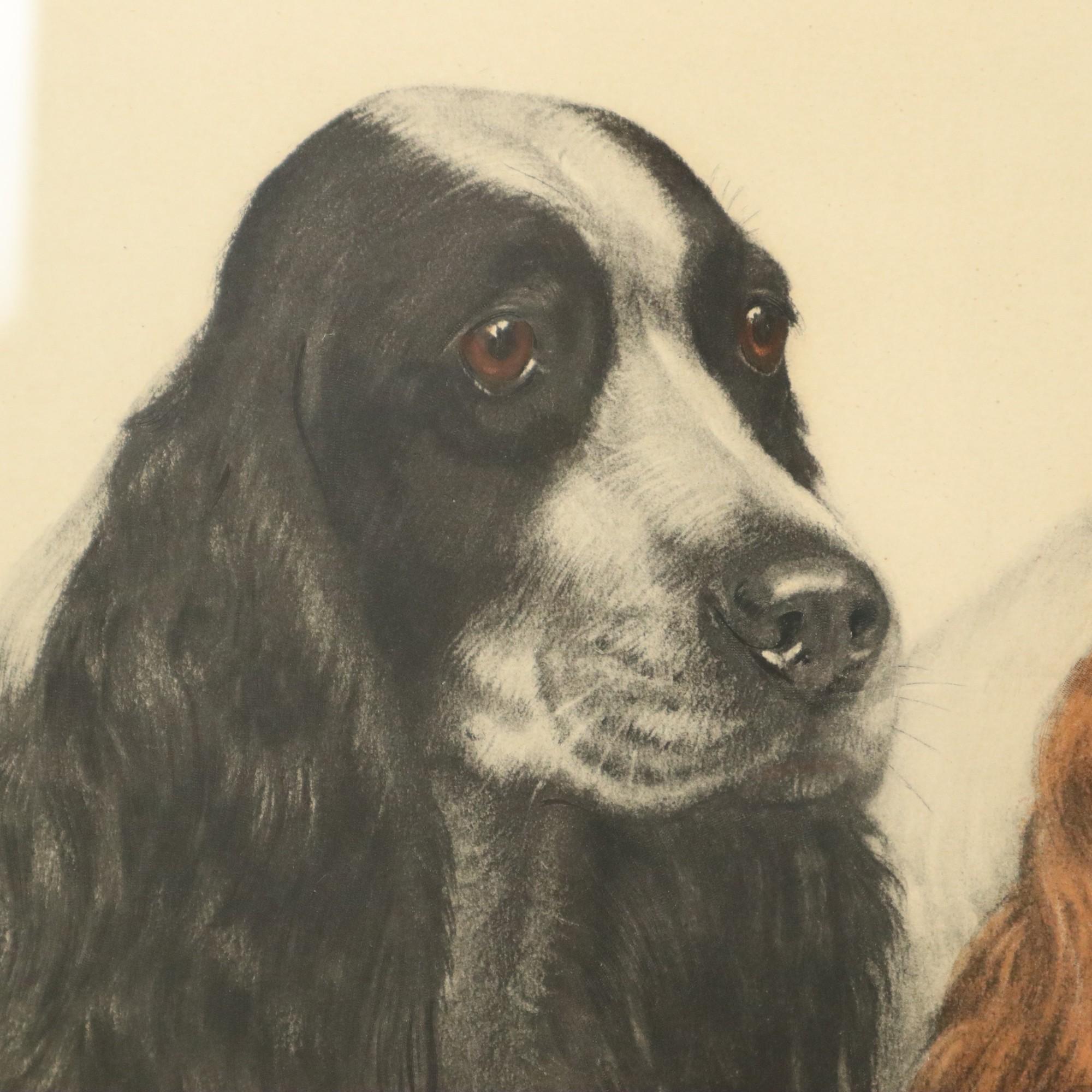 Große Farbe Litho Leon Danchin Jagdhund Spaniel 68x55cm im Zustand „Gut“ im Angebot in Poperinge, BE
