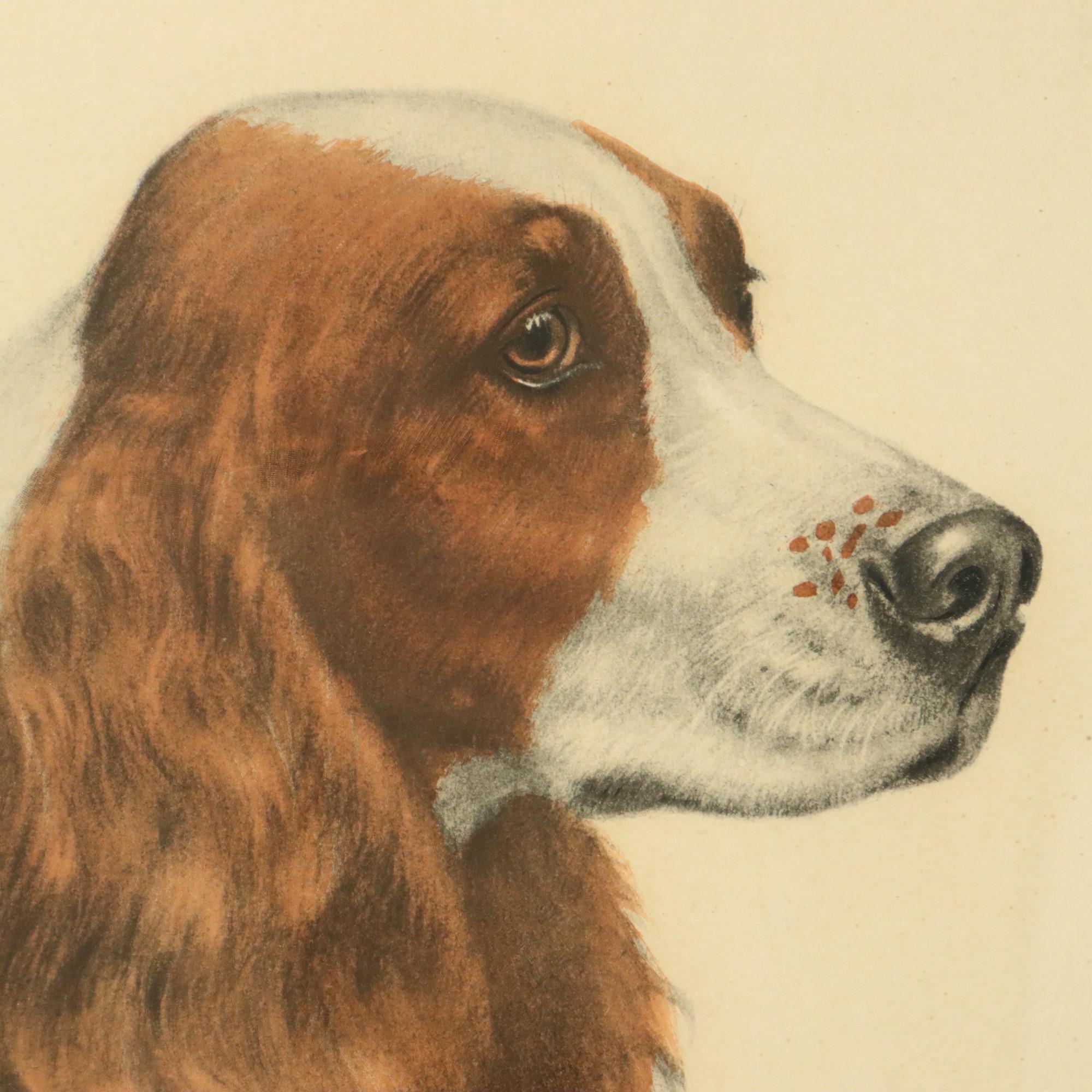 Große Farbe Litho Leon Danchin Jagdhund Spaniel 68x55cm (Mitte des 20. Jahrhunderts) im Angebot