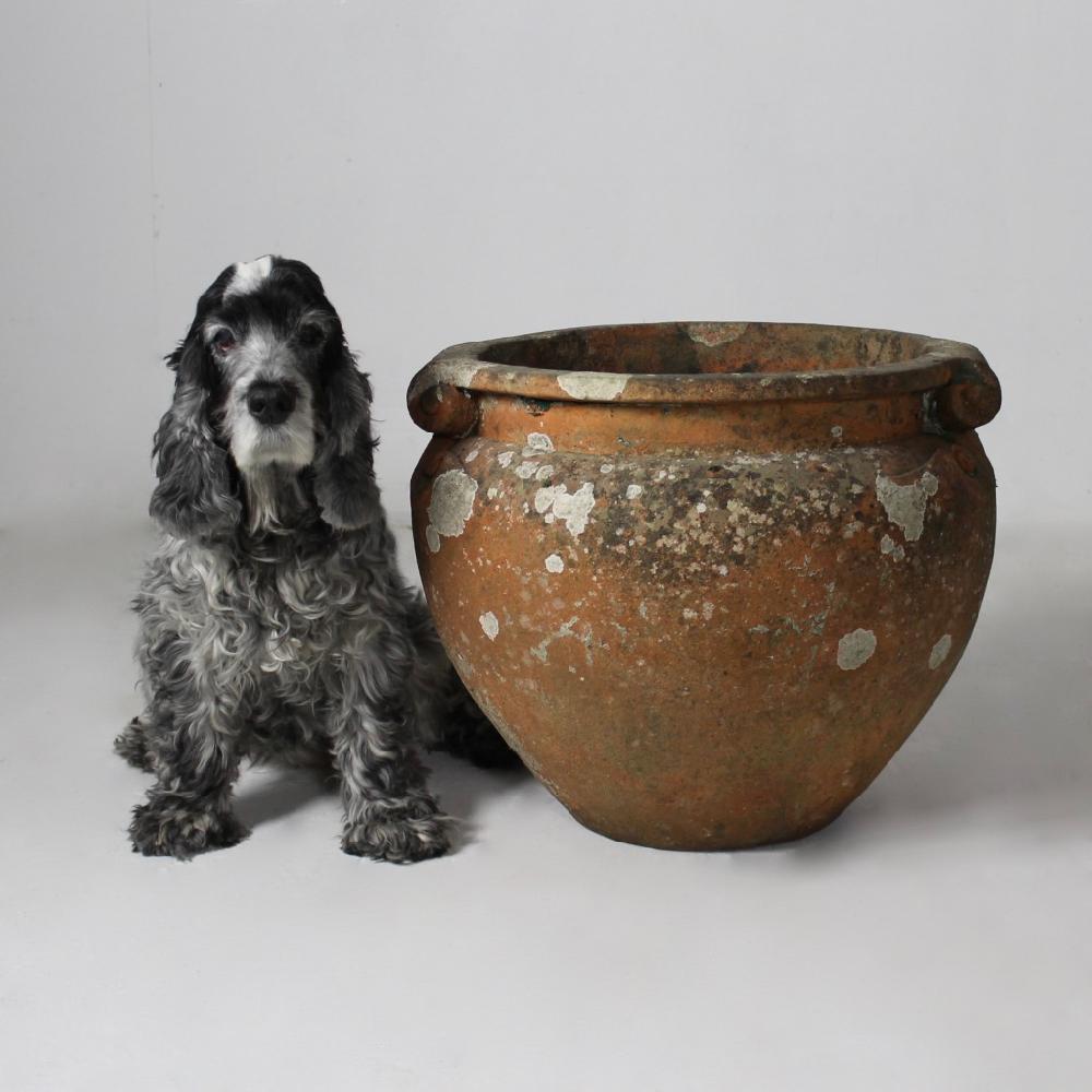 A truly wonderful, large early 20th century terracotta scroll pot by Compton Potteries. In excellent condition, beautifully weathered and covered in lichen, potters initials OWR visible internally.

English, circa 1920.