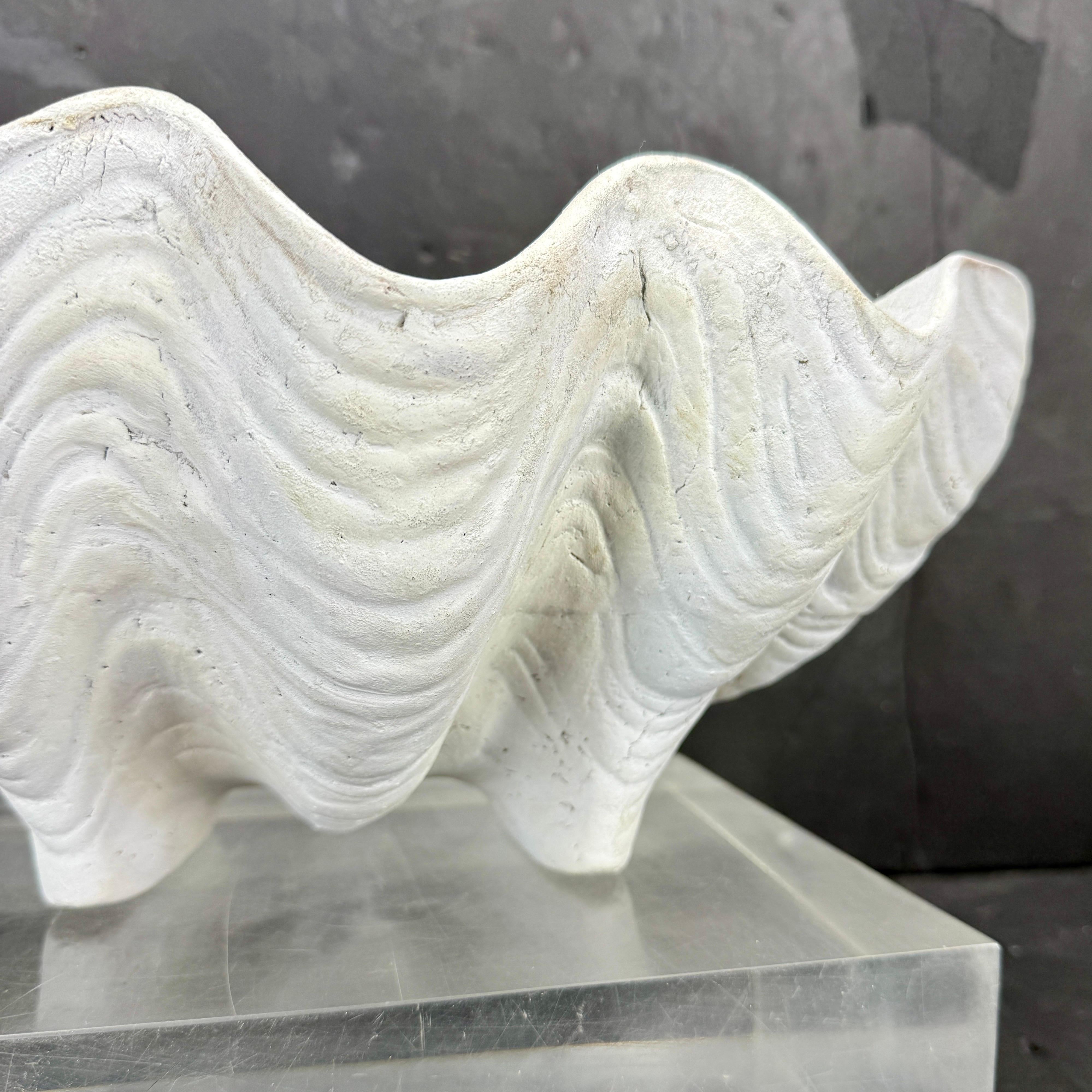 Grand centre de table Sculpture de coquillages en terre cuite Conch Planter en vente 4