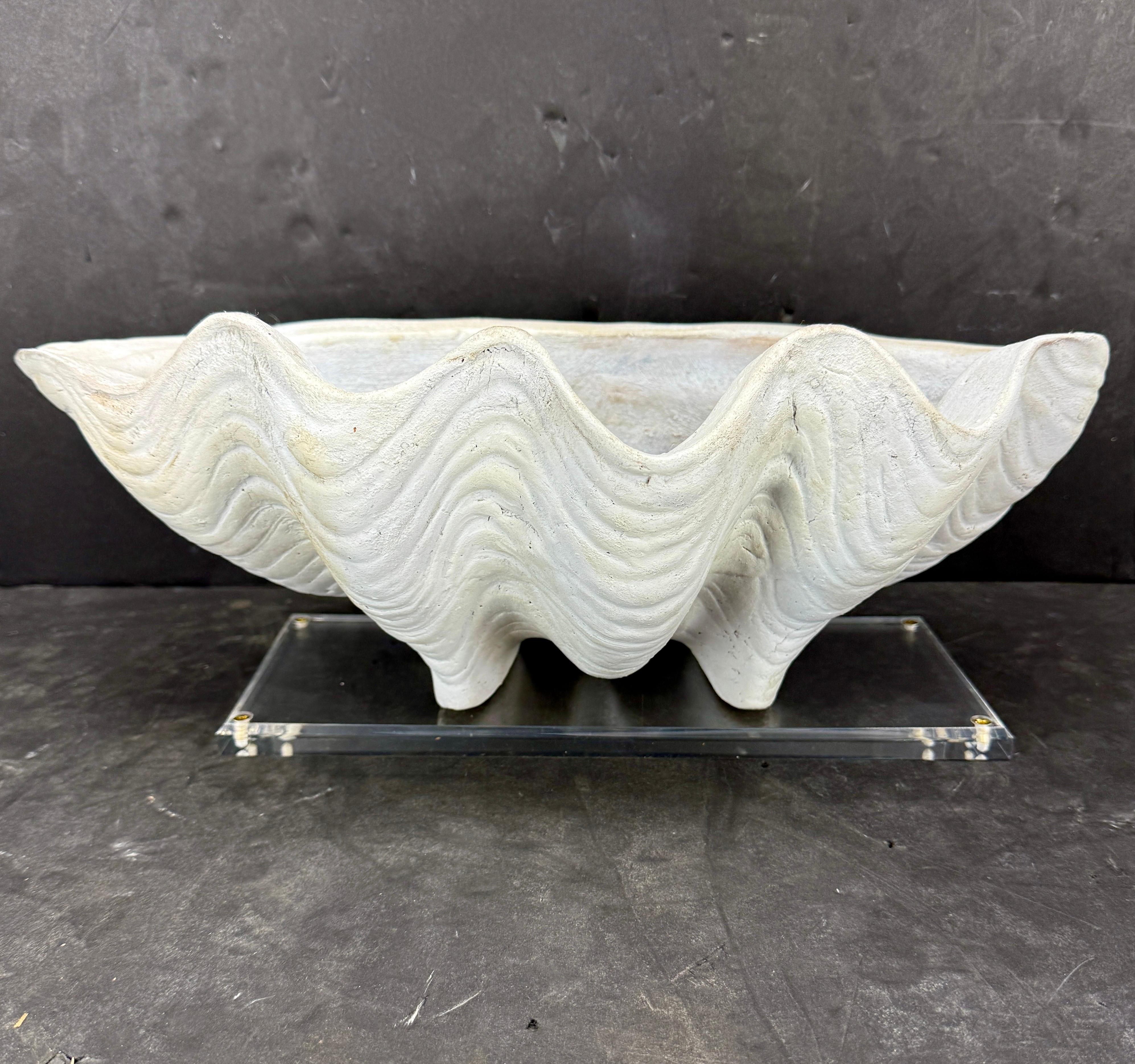 Impressionnante coquille de palourde avec une patine incroyable. Cette coque présente des détails complexes sur l'extérieur. Cette pièce est très polyvalente et convient à toute maison de style classique, côtier ou contemporain et moderne. Il serait