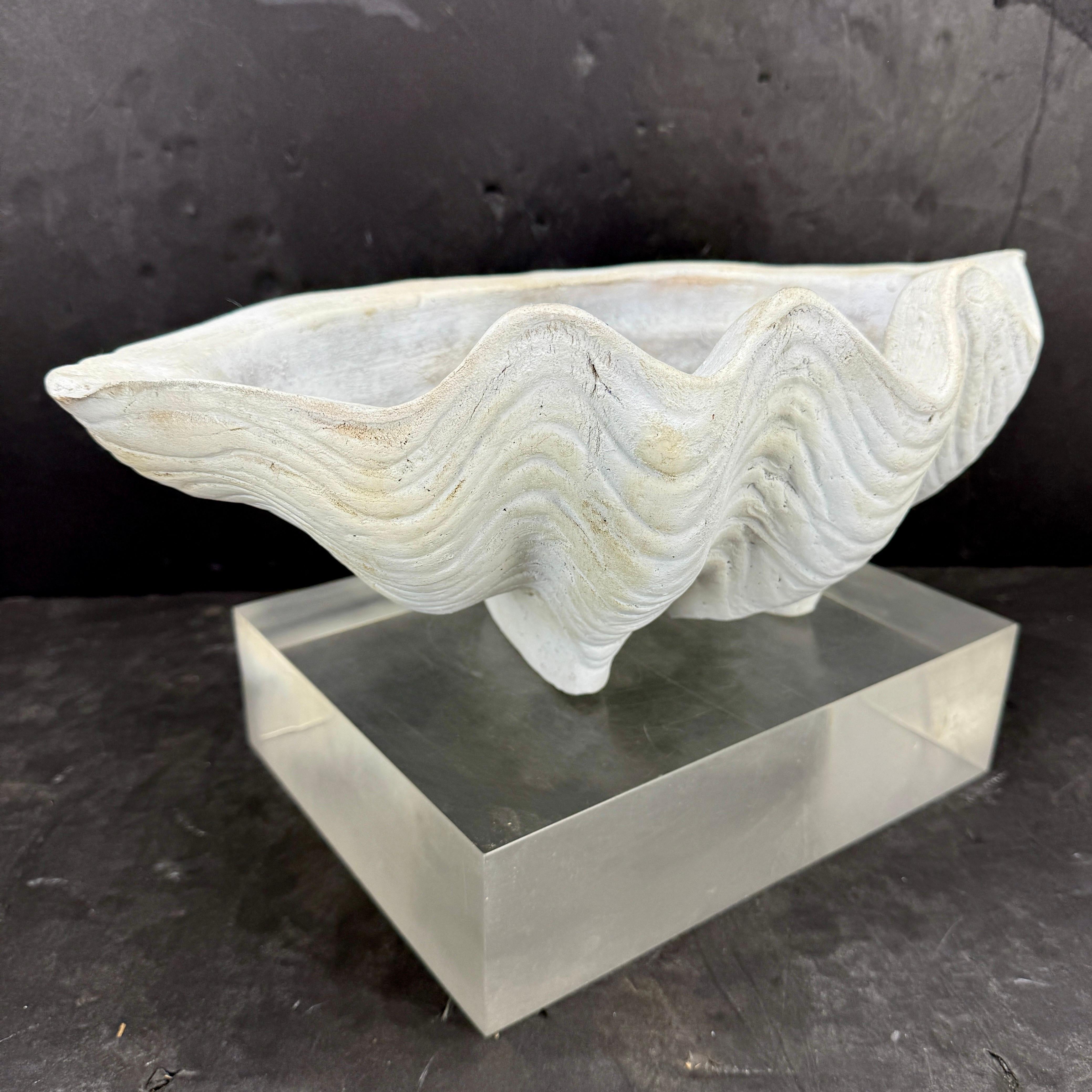 Organique Grand centre de table Sculpture de coquillages en terre cuite Conch Planter en vente