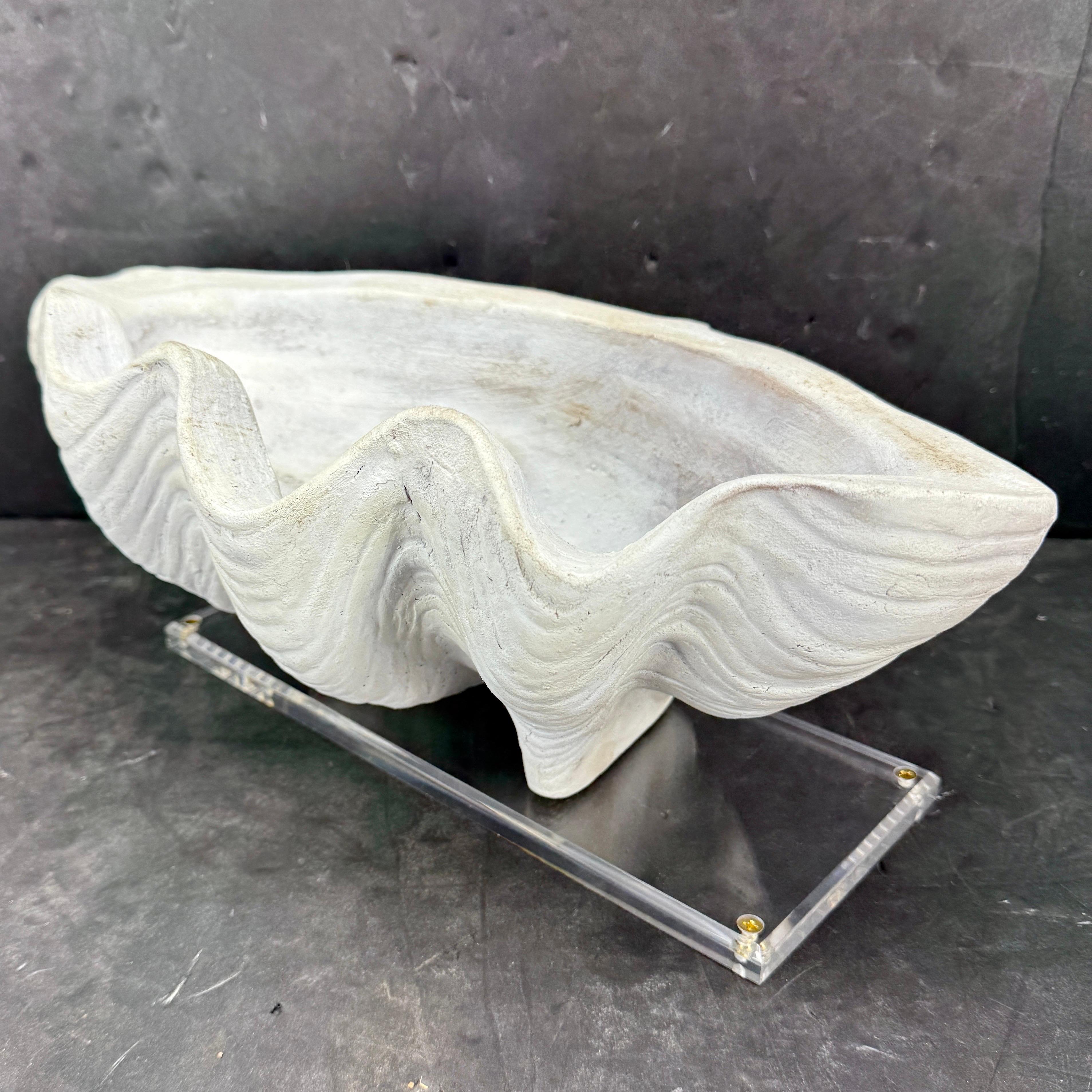 Américain Grand centre de table Sculpture de coquillages en terre cuite Conch Planter en vente