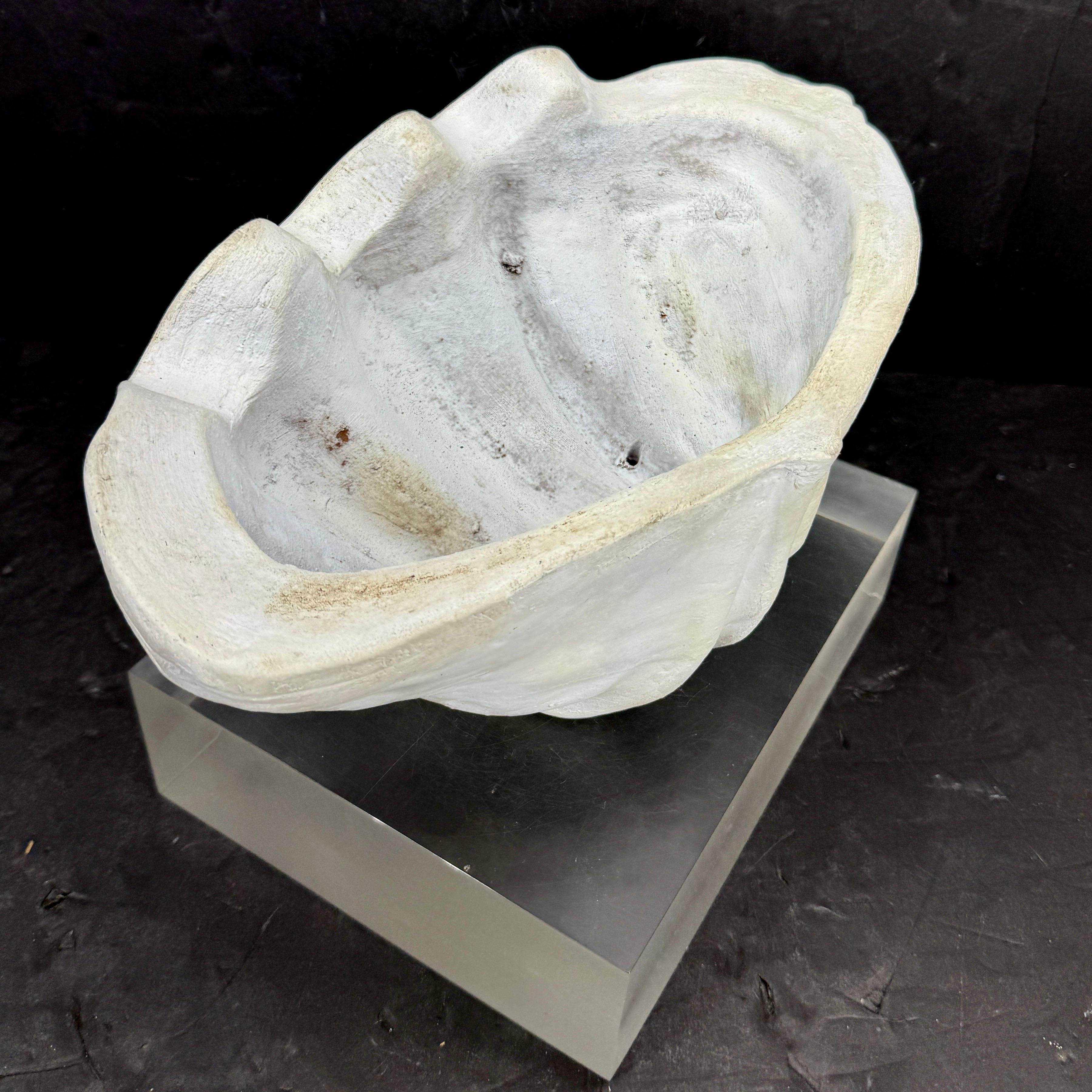 Peinture Grand centre de table Sculpture de coquillages en terre cuite Conch Planter en vente
