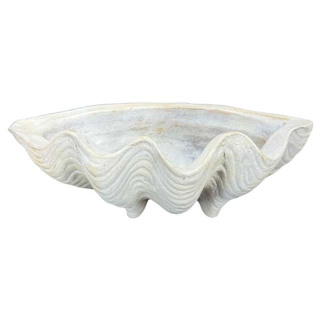 Massive Conch Shell at 1stDibs | how much is a conch shell worth, how ...