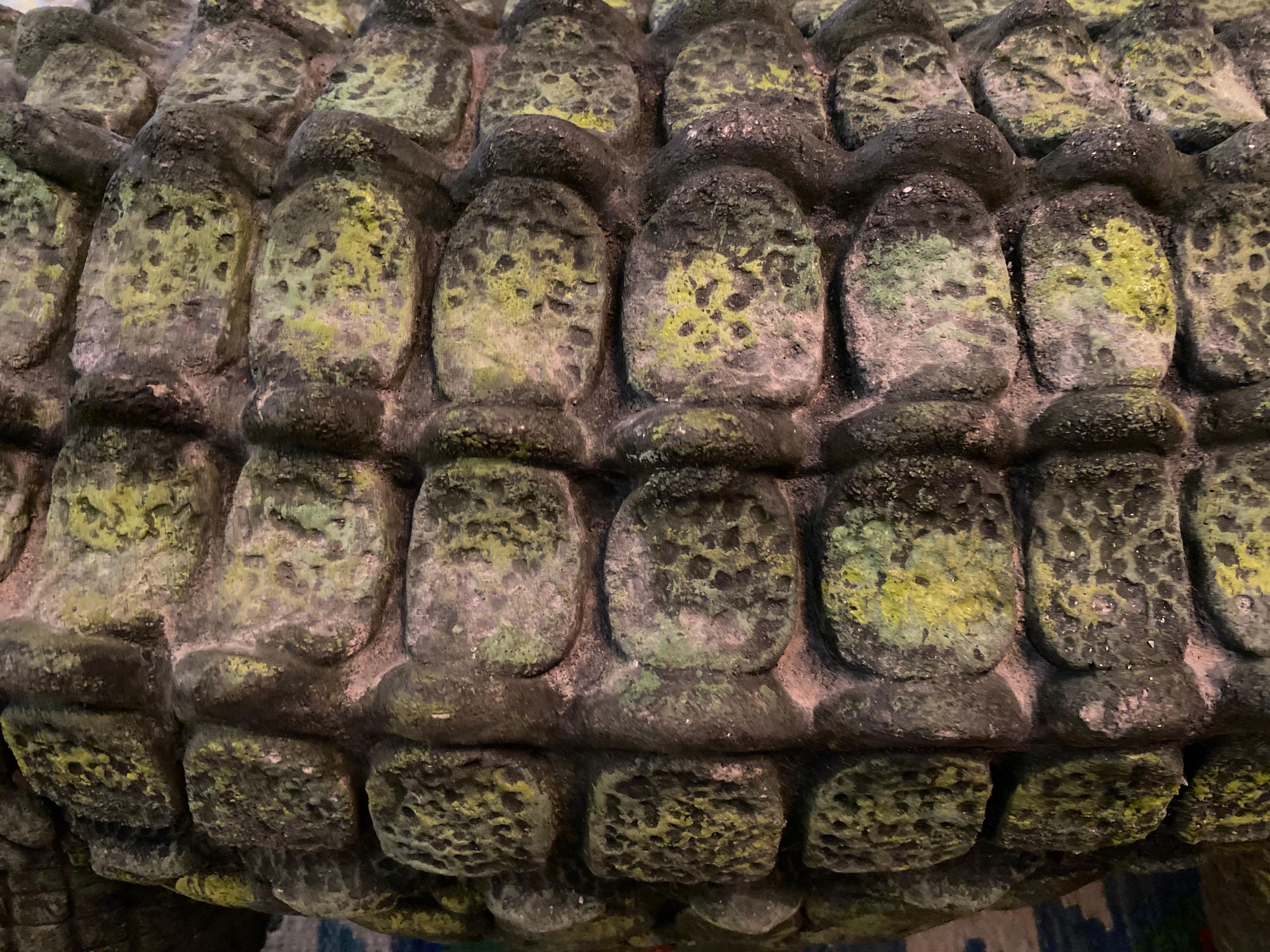 petrified alligator