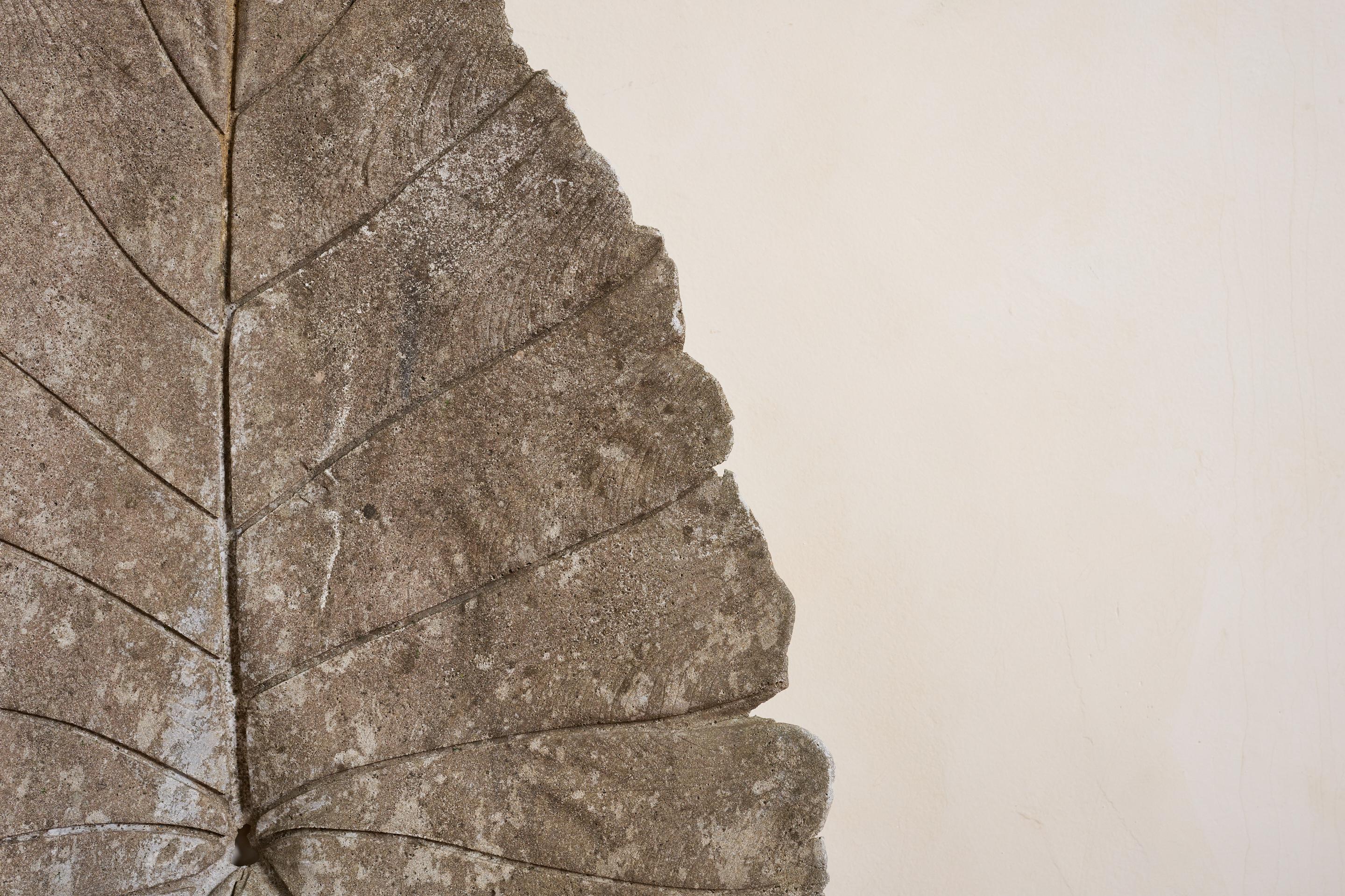 Hoja grande de hormigón al estilo de Willy Guhl Concreto en venta